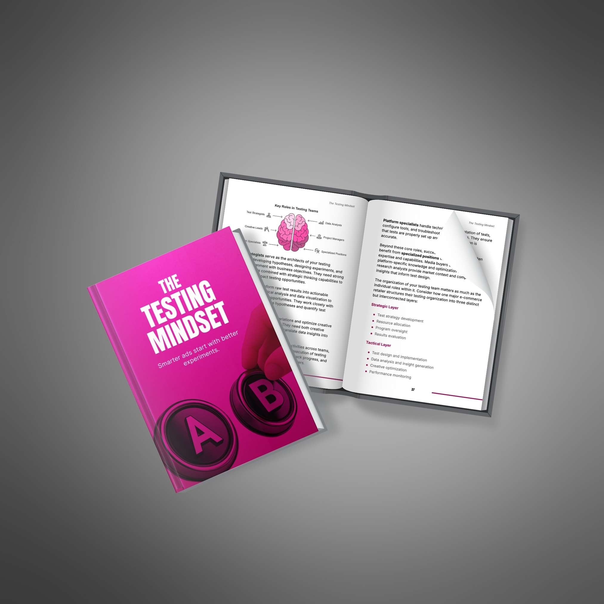 The Testing Mindset - Ebook