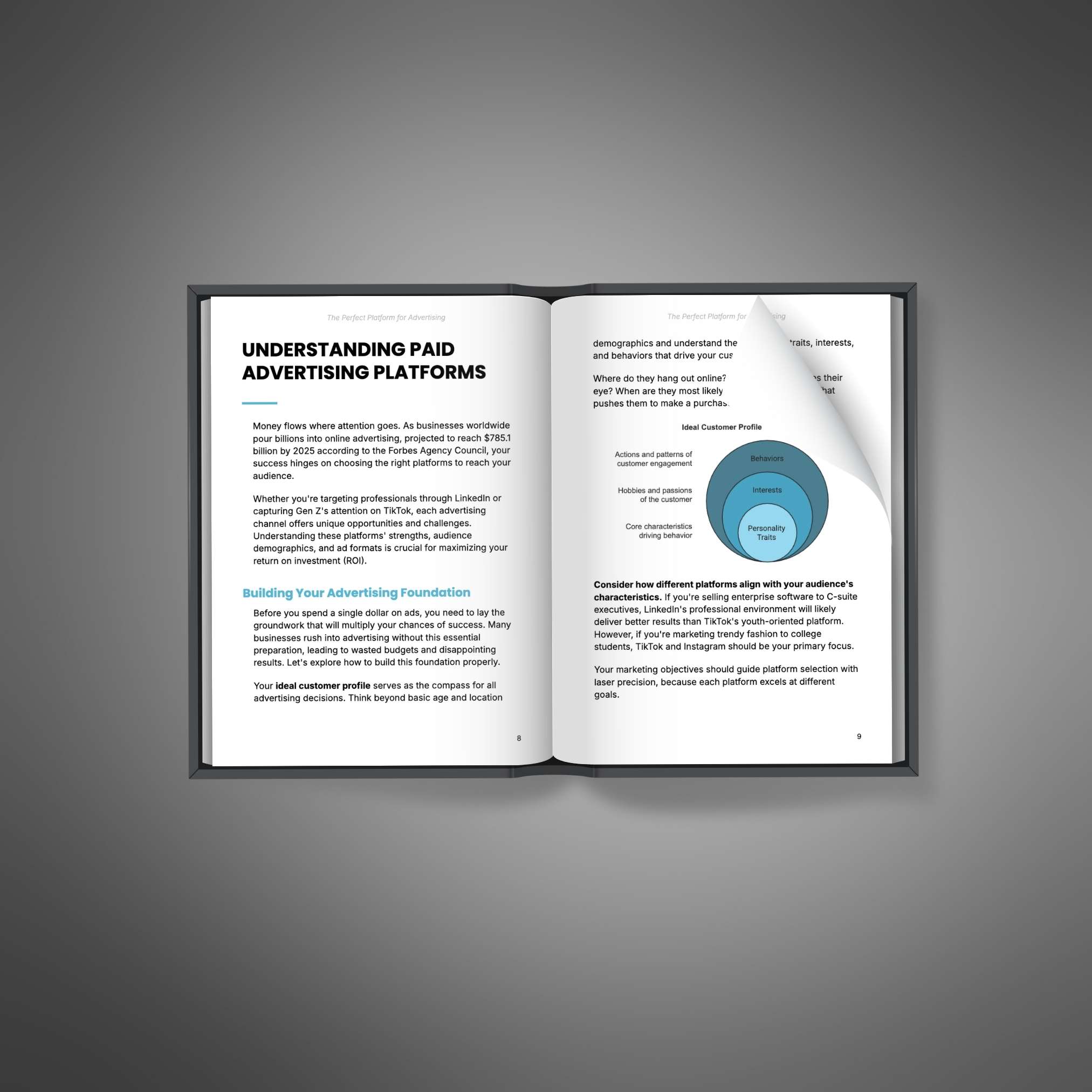 The Perfect Platform for Advertising - Ebook