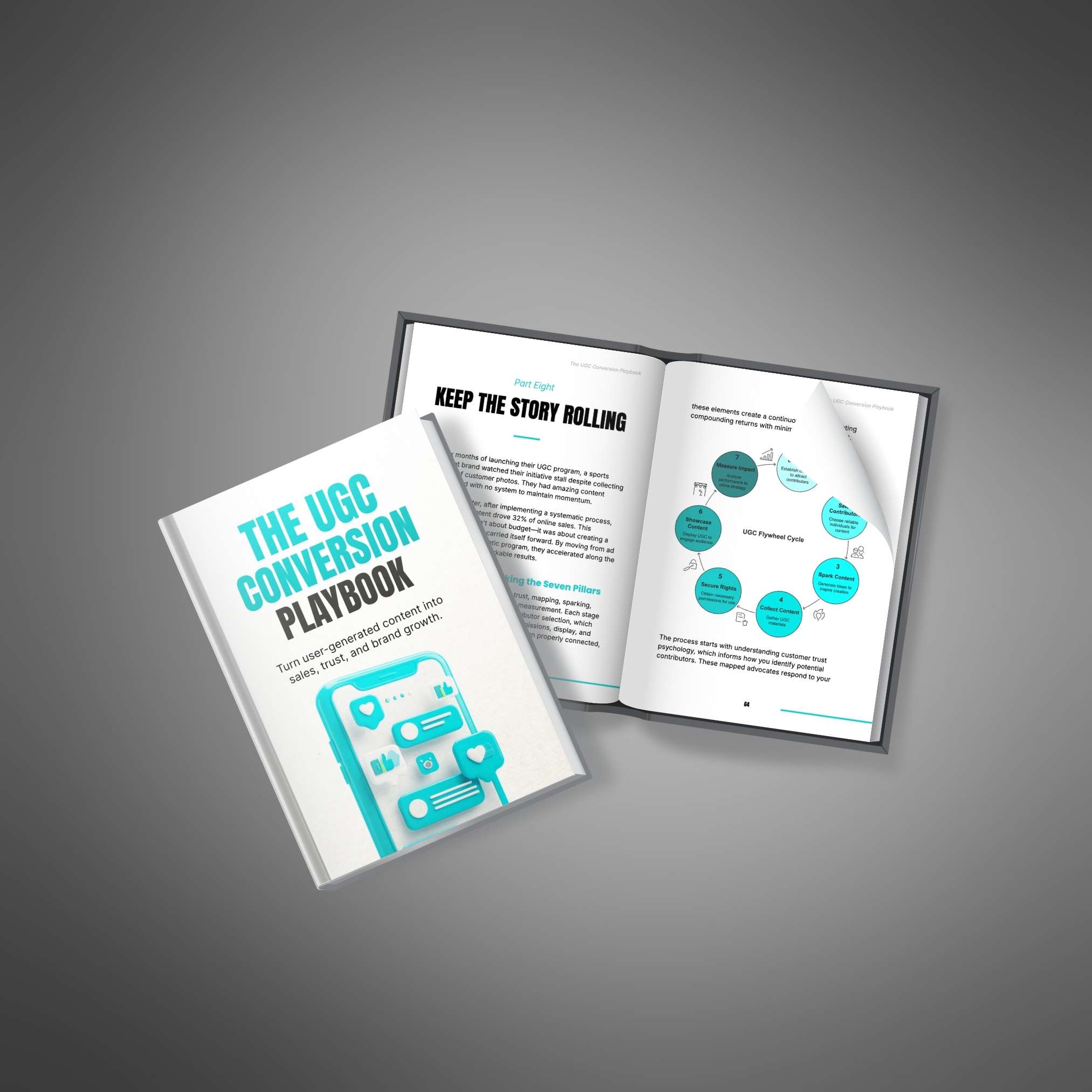 The UGC Conversion Playbook - Ebook