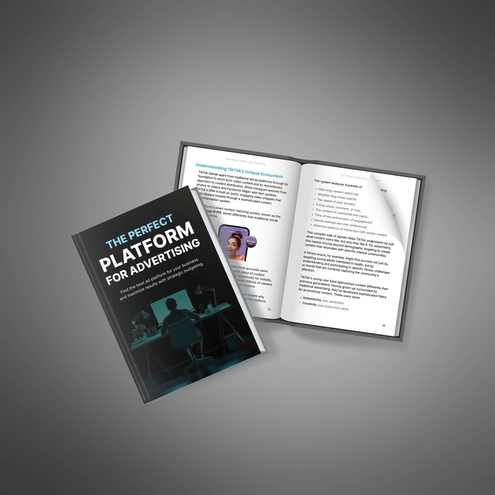 The Perfect Platform for Advertising - Ebook