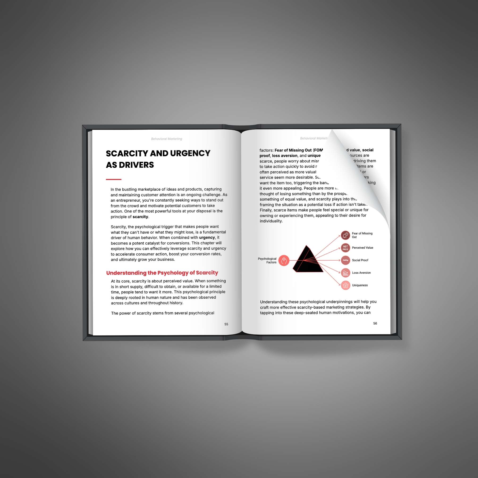 Behavioral Marketing – Ebook