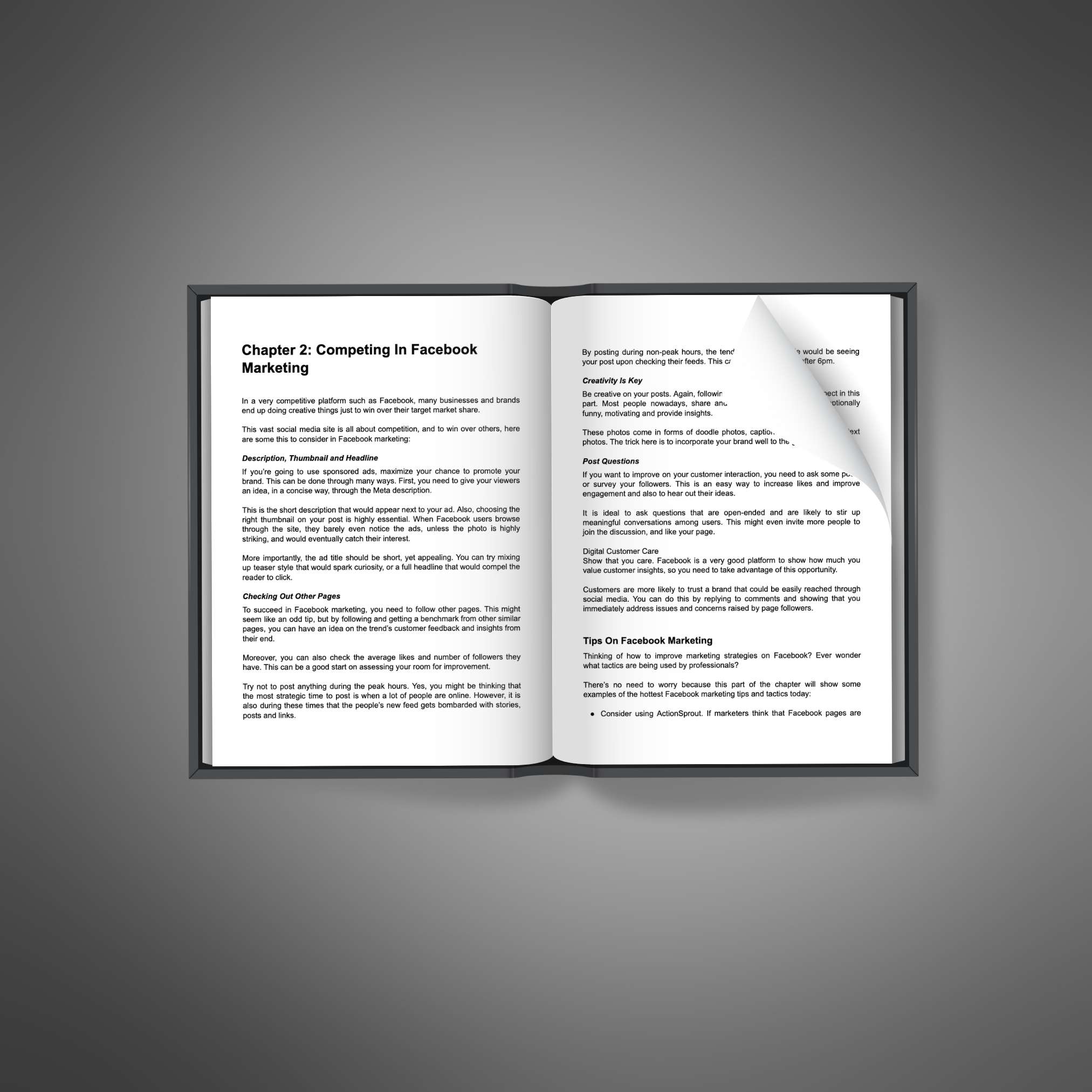 Facebook Marketing Influence - Ebook