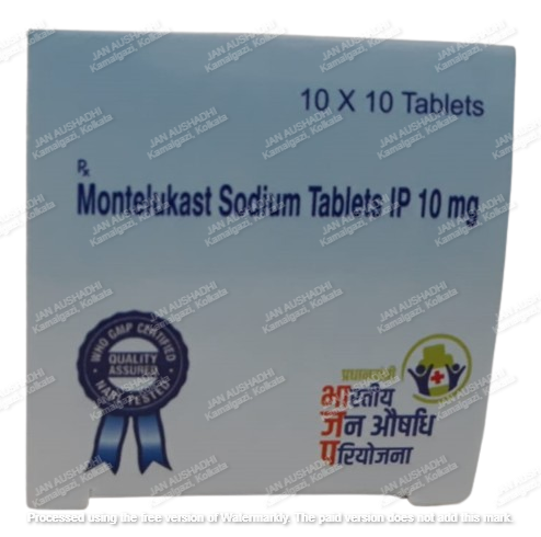 251 Montelukast Sodium Tablets IP 10 mg