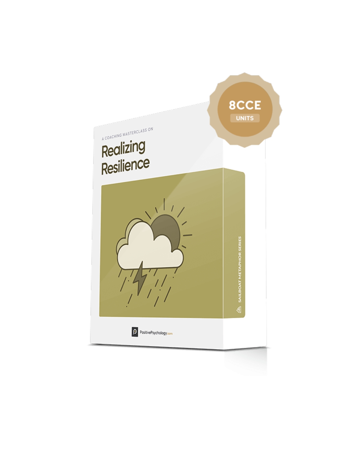 Realizing Resilience Masterclass© See Description For Updated Pricing