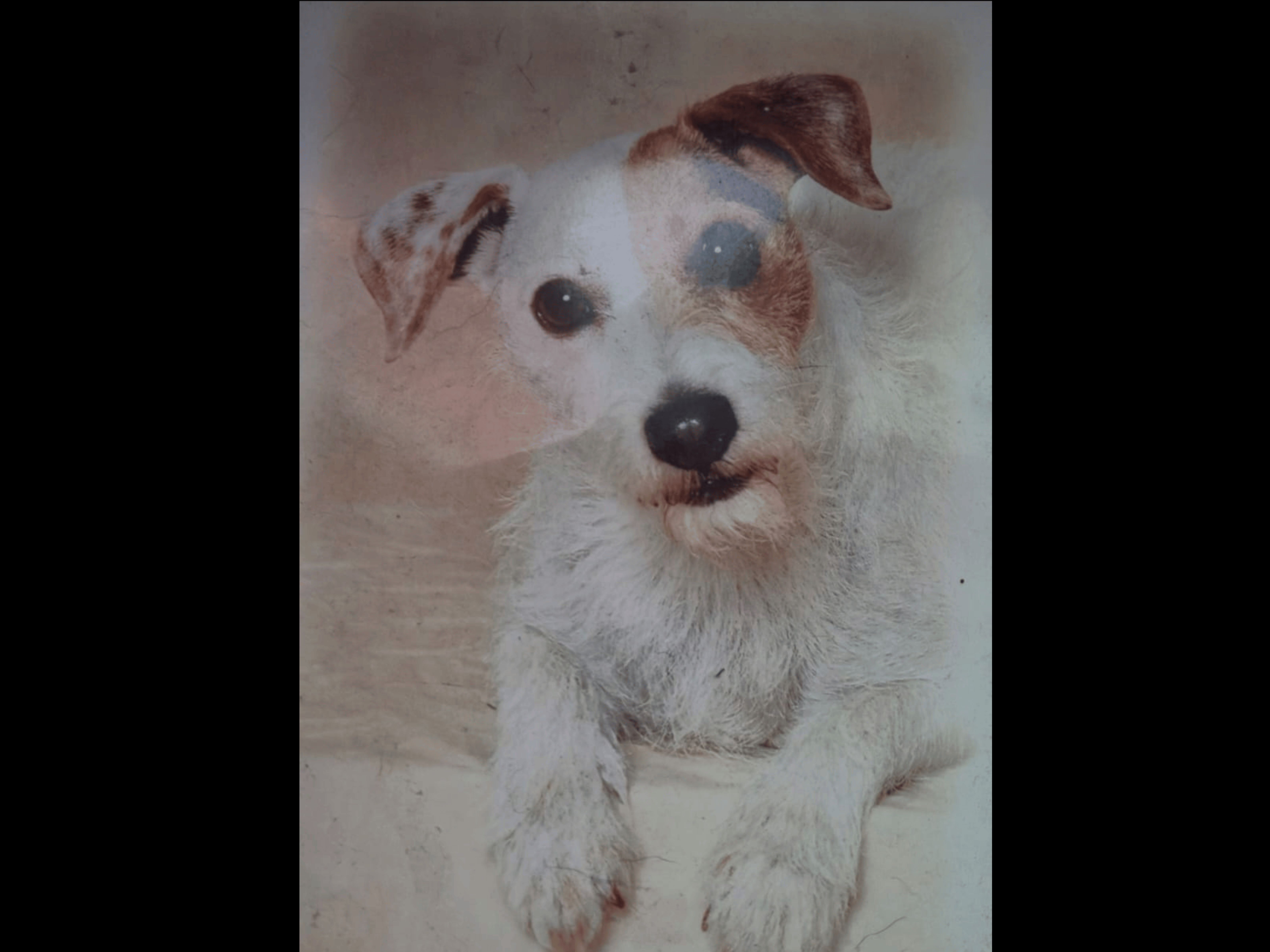 Premium Schiefer-Gravur „Individual“ – Porträts & Gedenken auf Stein