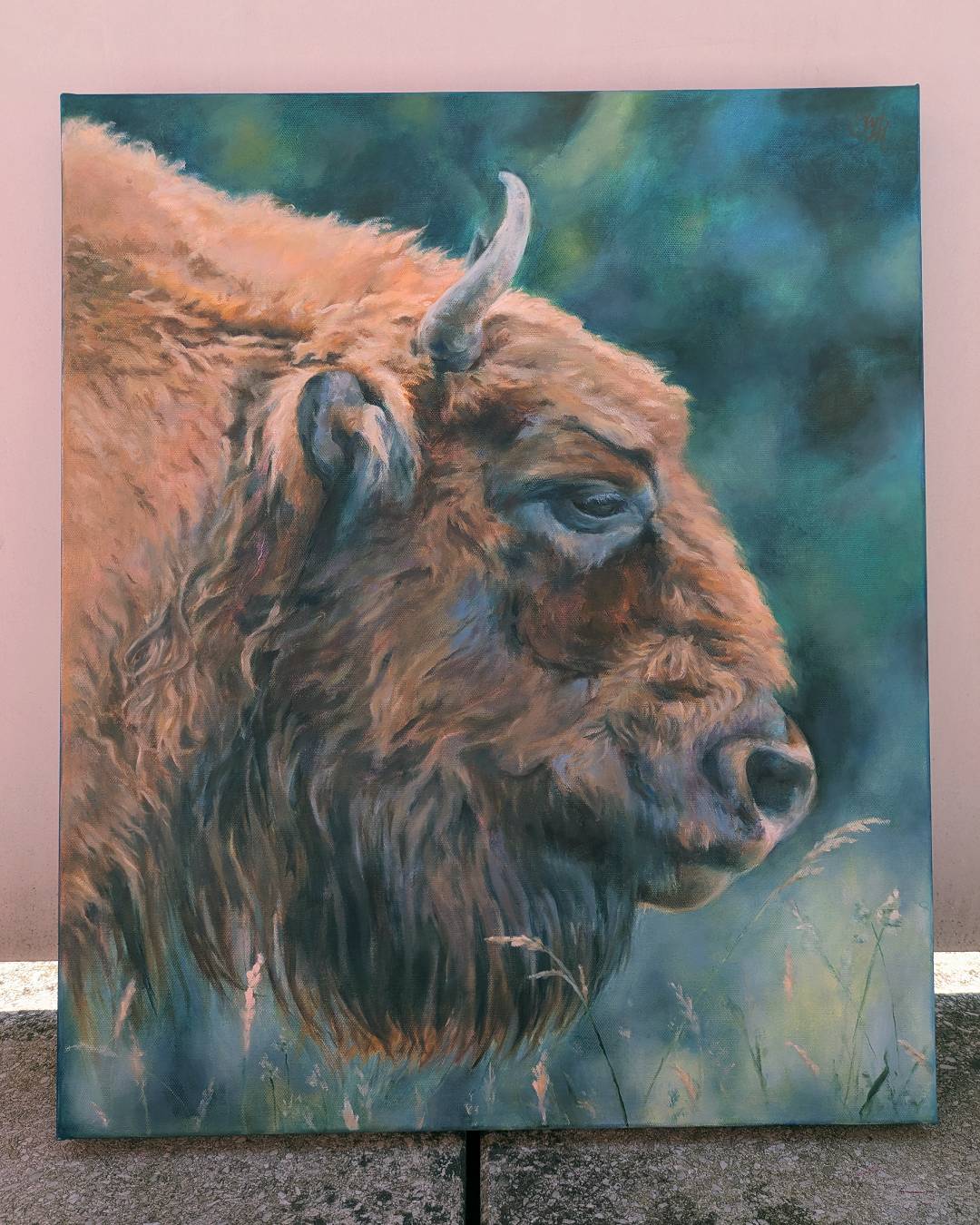 Bison