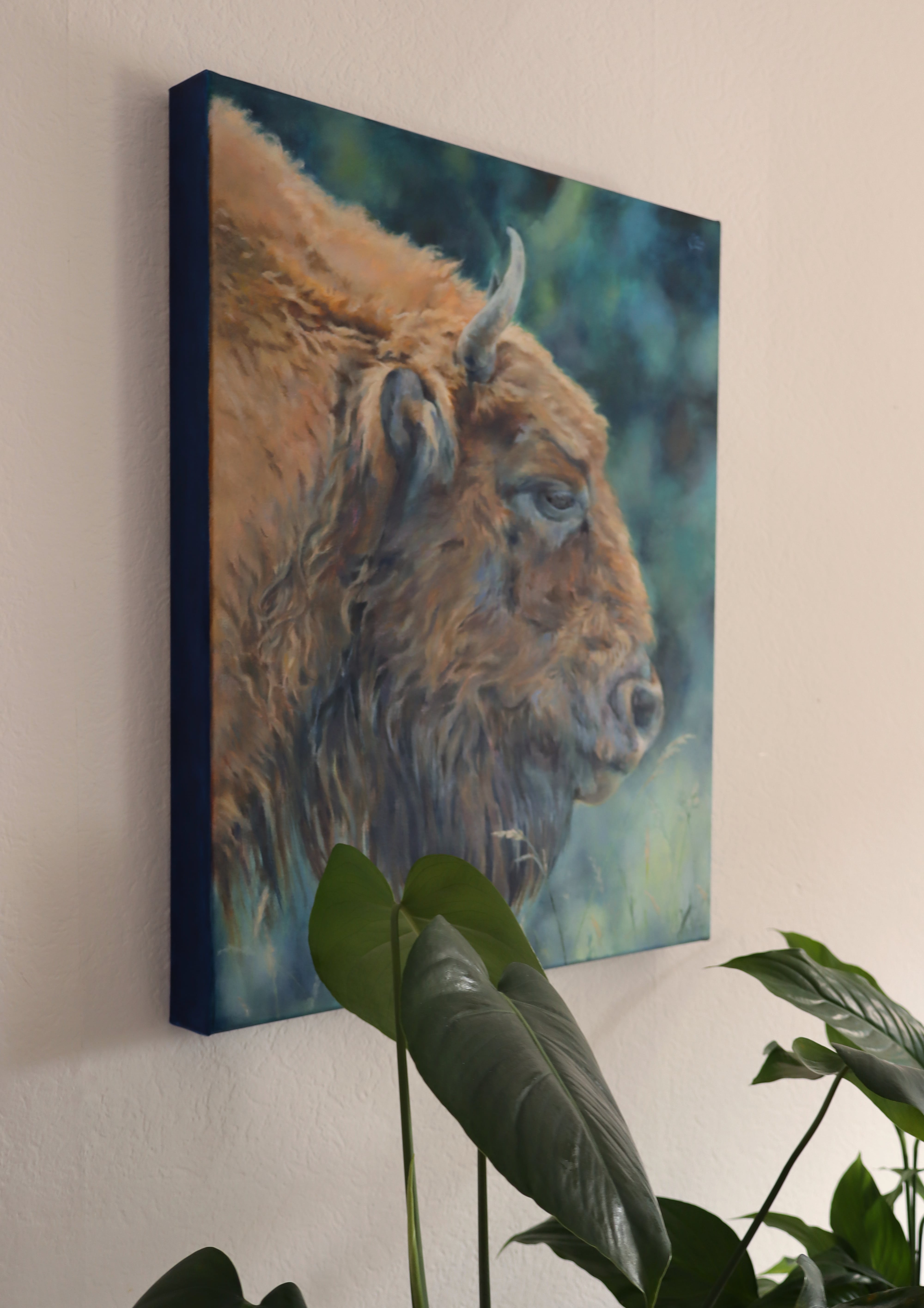Bison