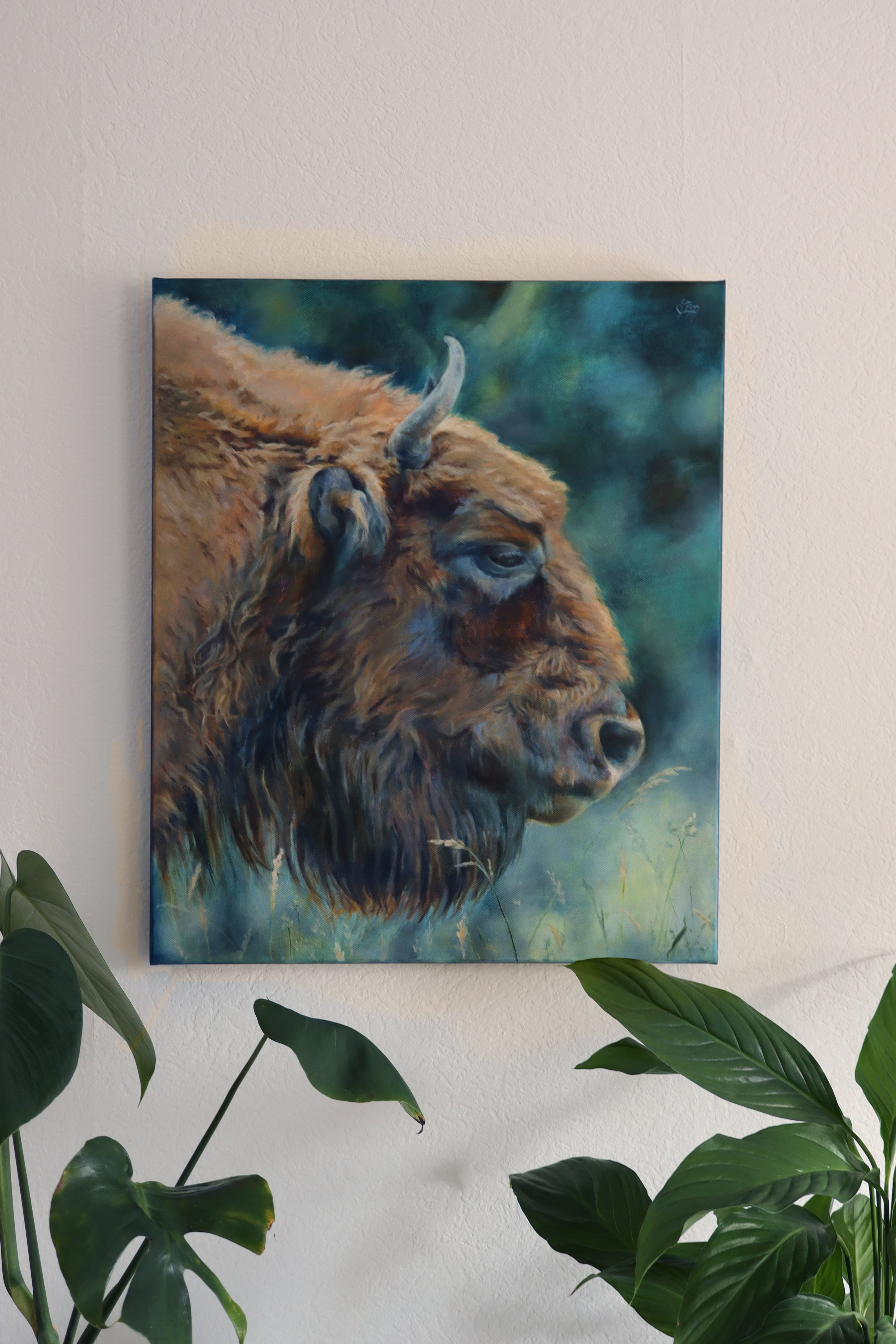 Bison
