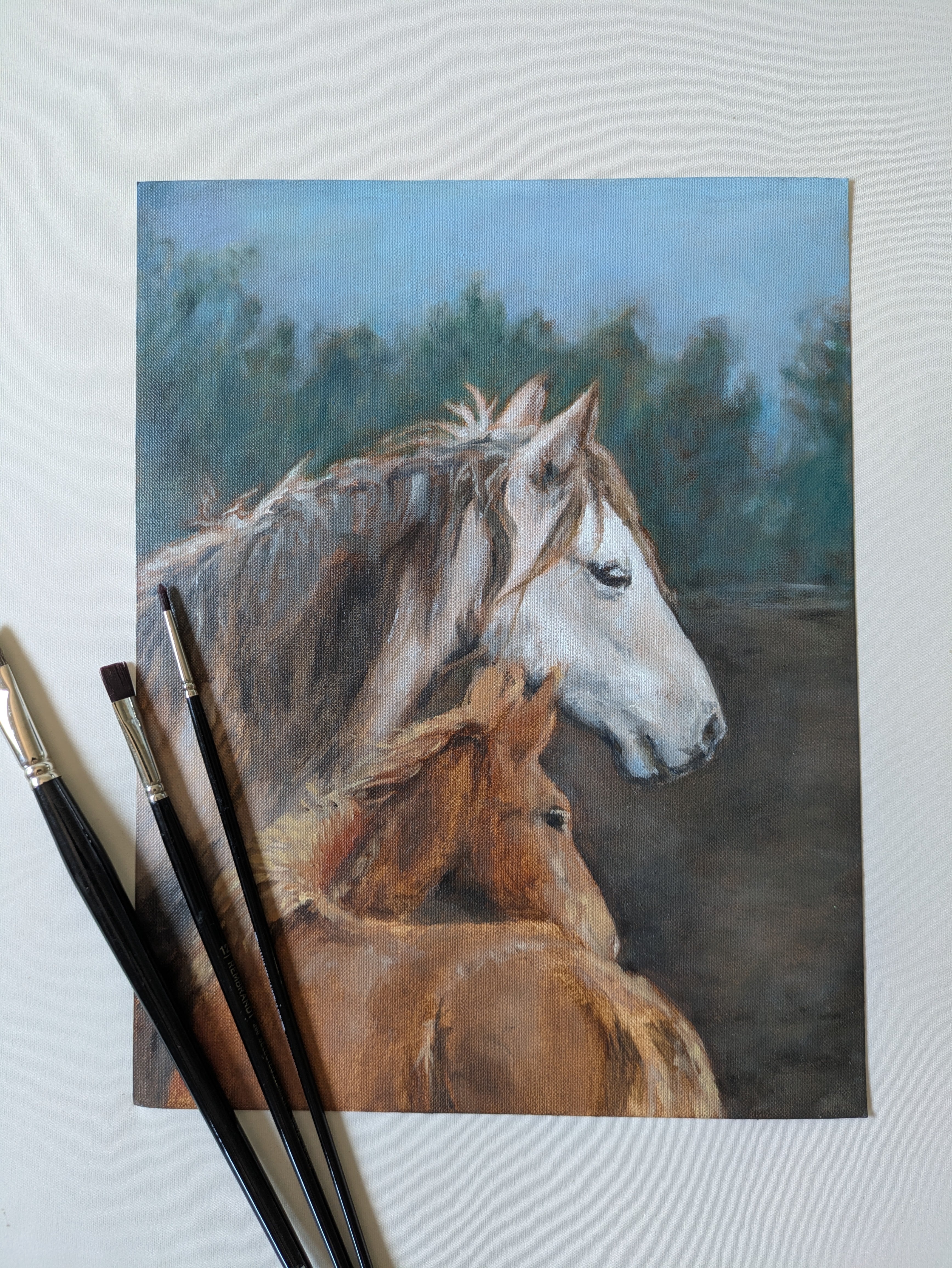 Horses