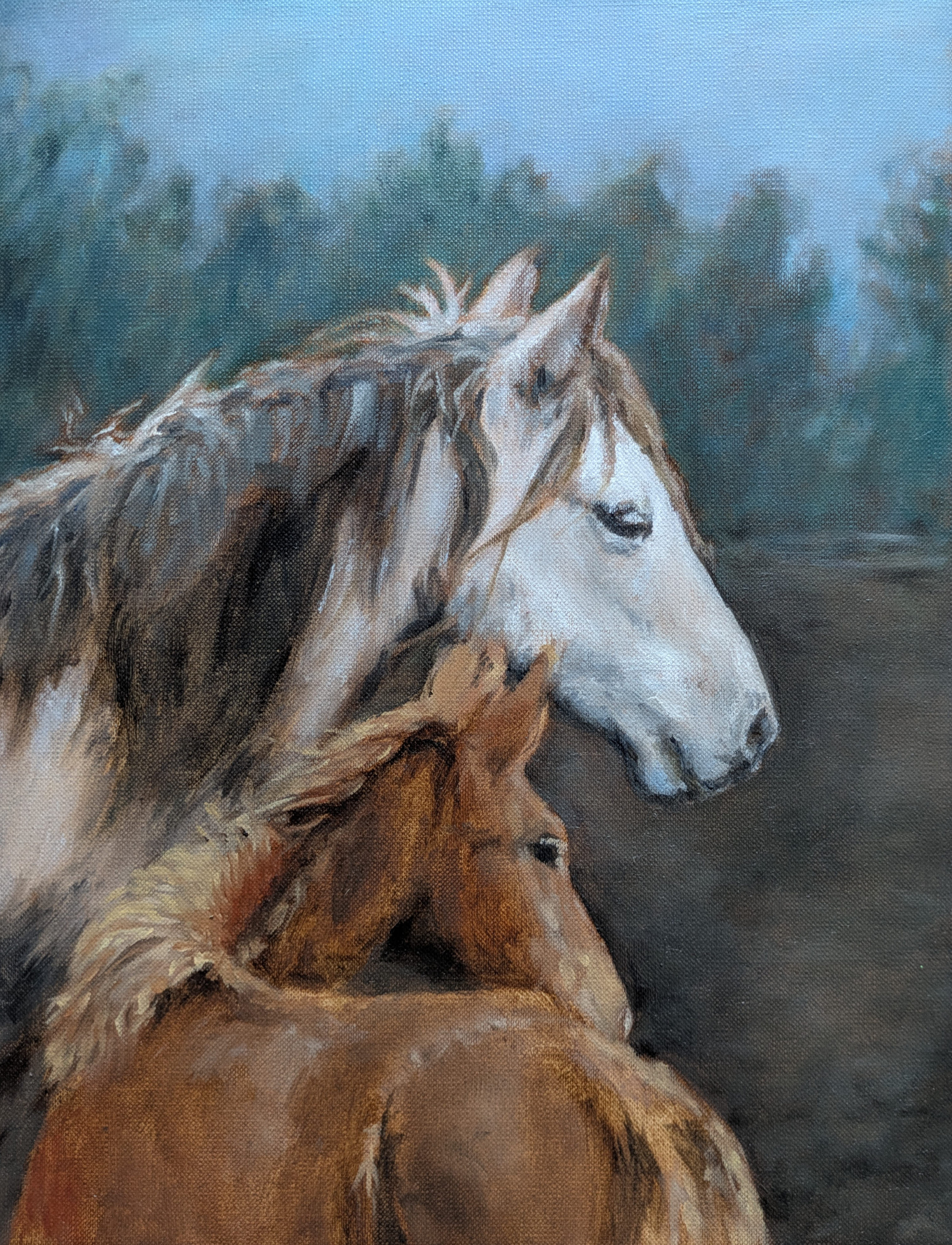 Horses