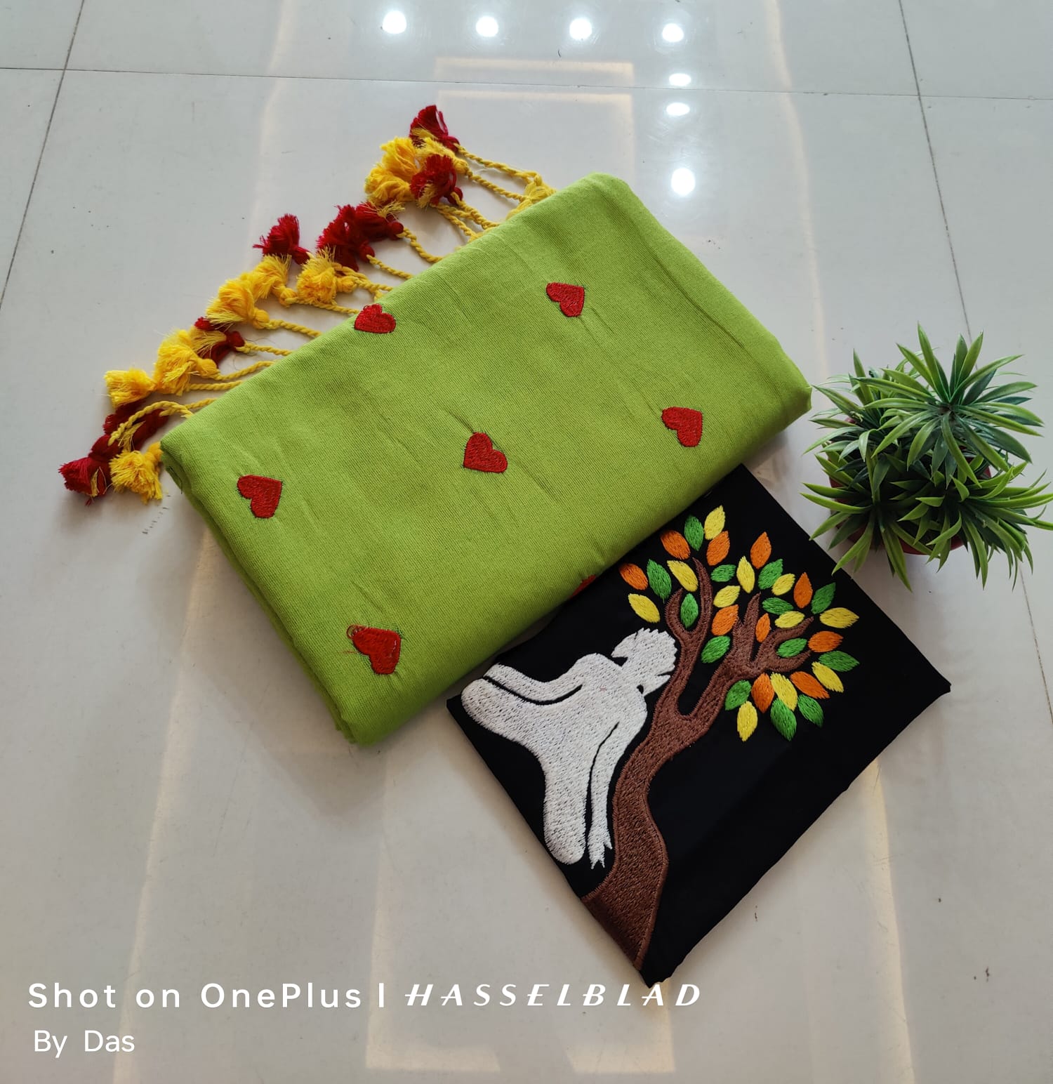 Embroidered saree with bp
