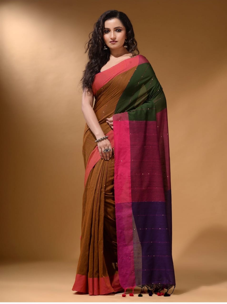 Elegant Multicolored Saree