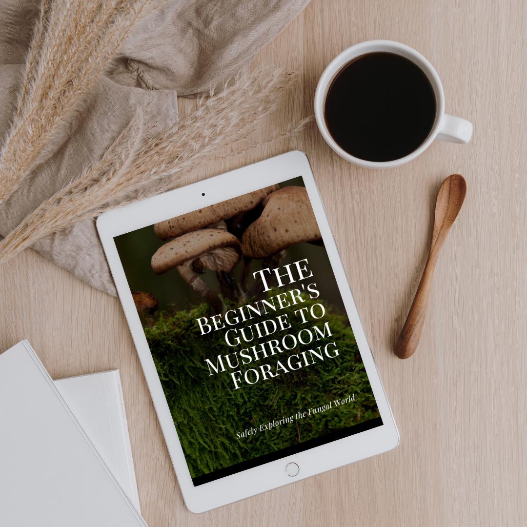 Mushroom Foraging Beginner's Guide: Safely Explore Fungal World