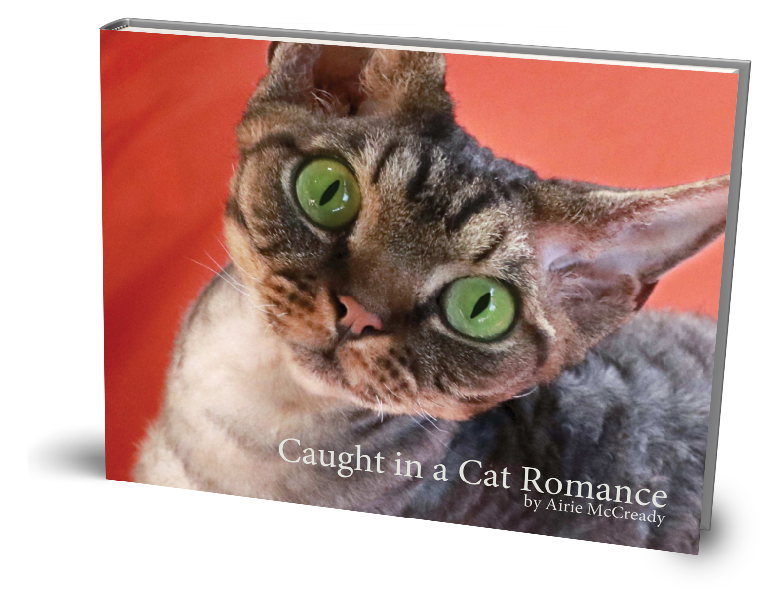 Caught in a Cat Romance 