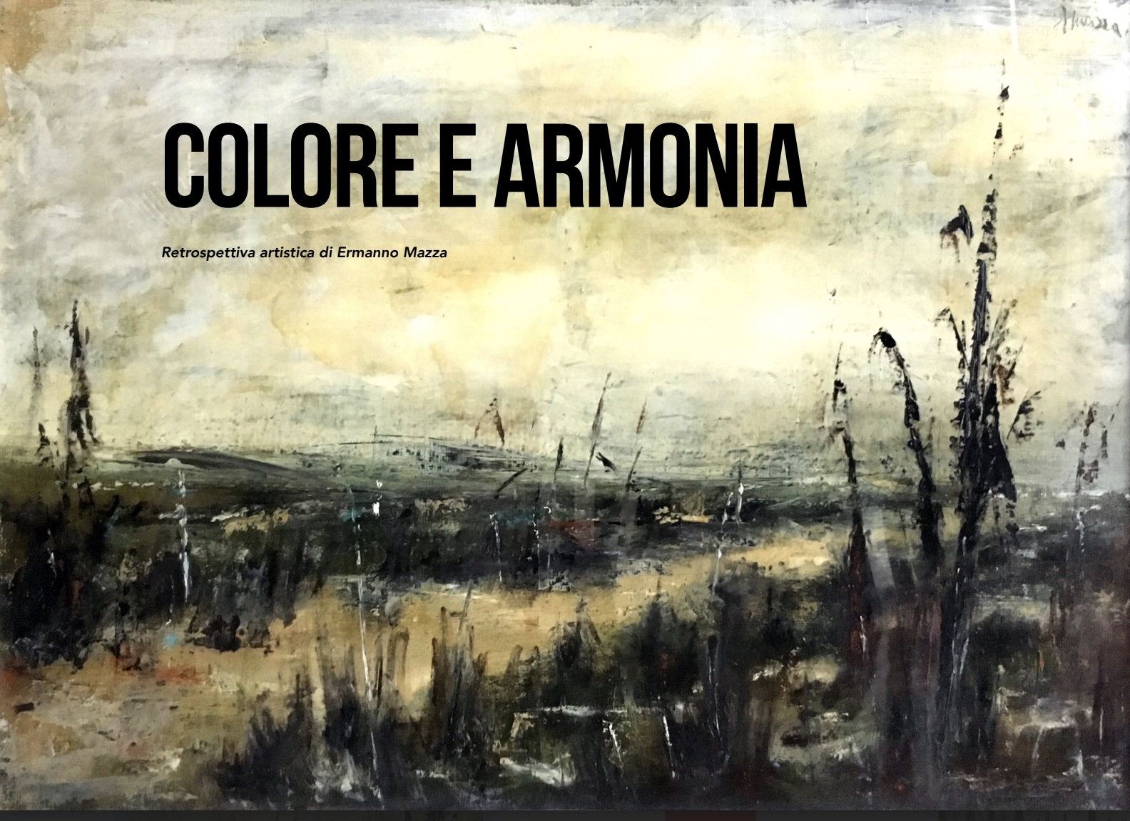Colore e Armonia di Ermanno Mazza