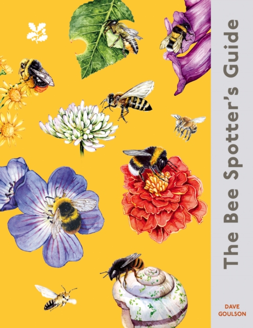 The Bee Spotter's Guide