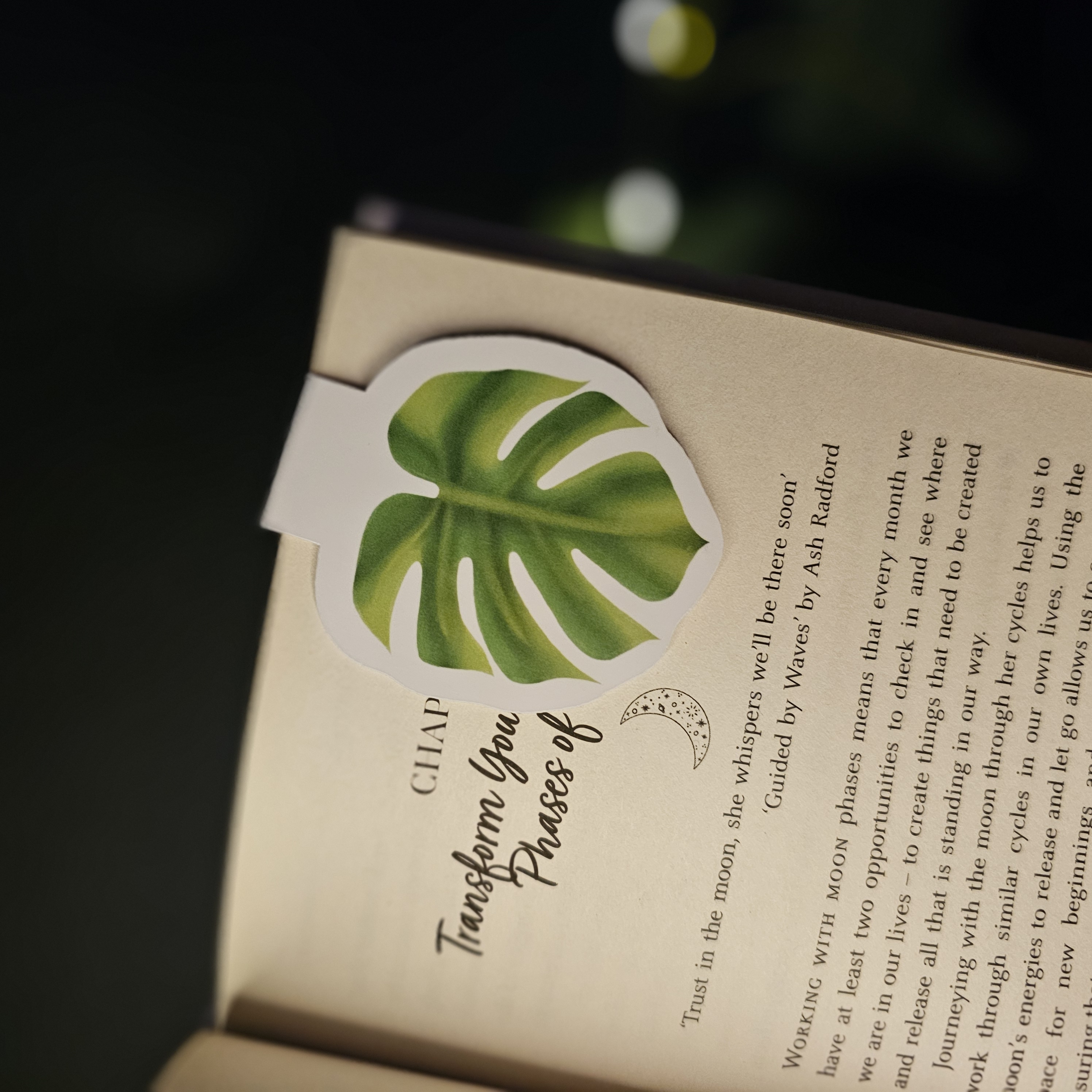 Monstera Leaf Magnetic Bookmark