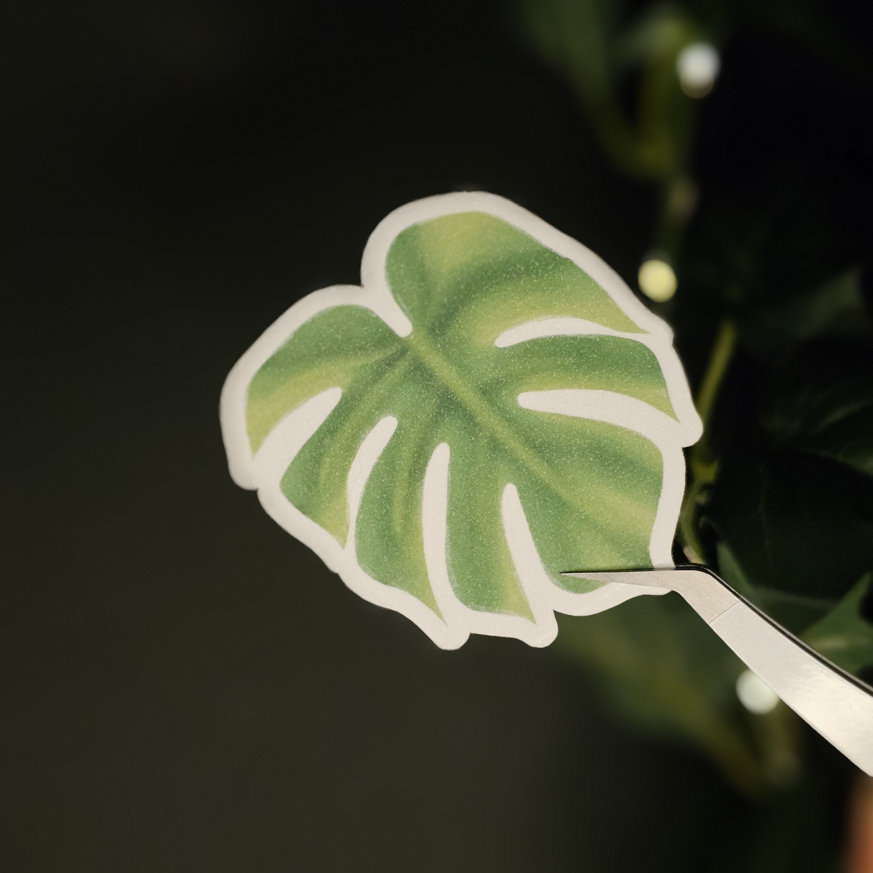 Monty the Monsterra Leaf Sticker