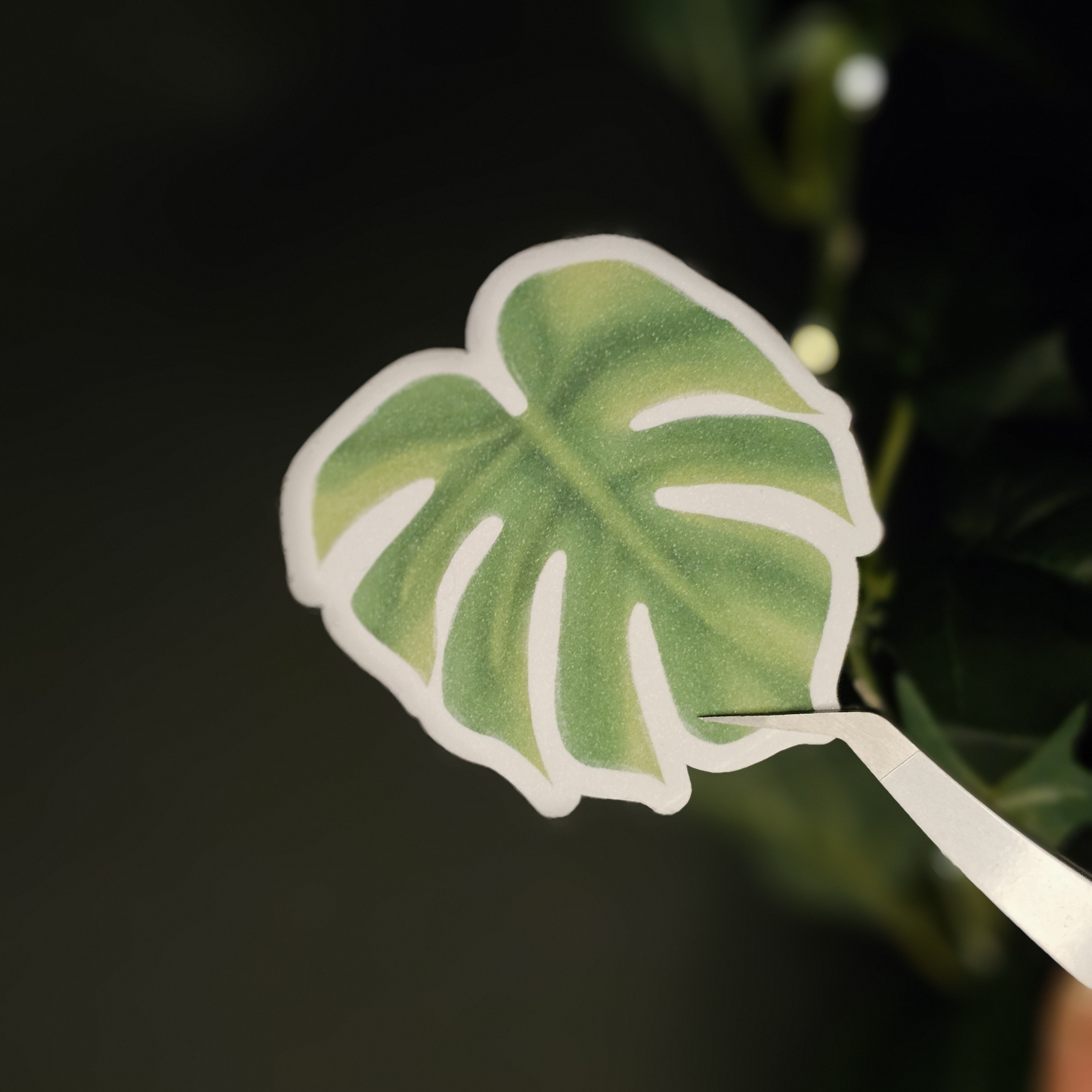 Monty the Monsterra Leaf Sticker