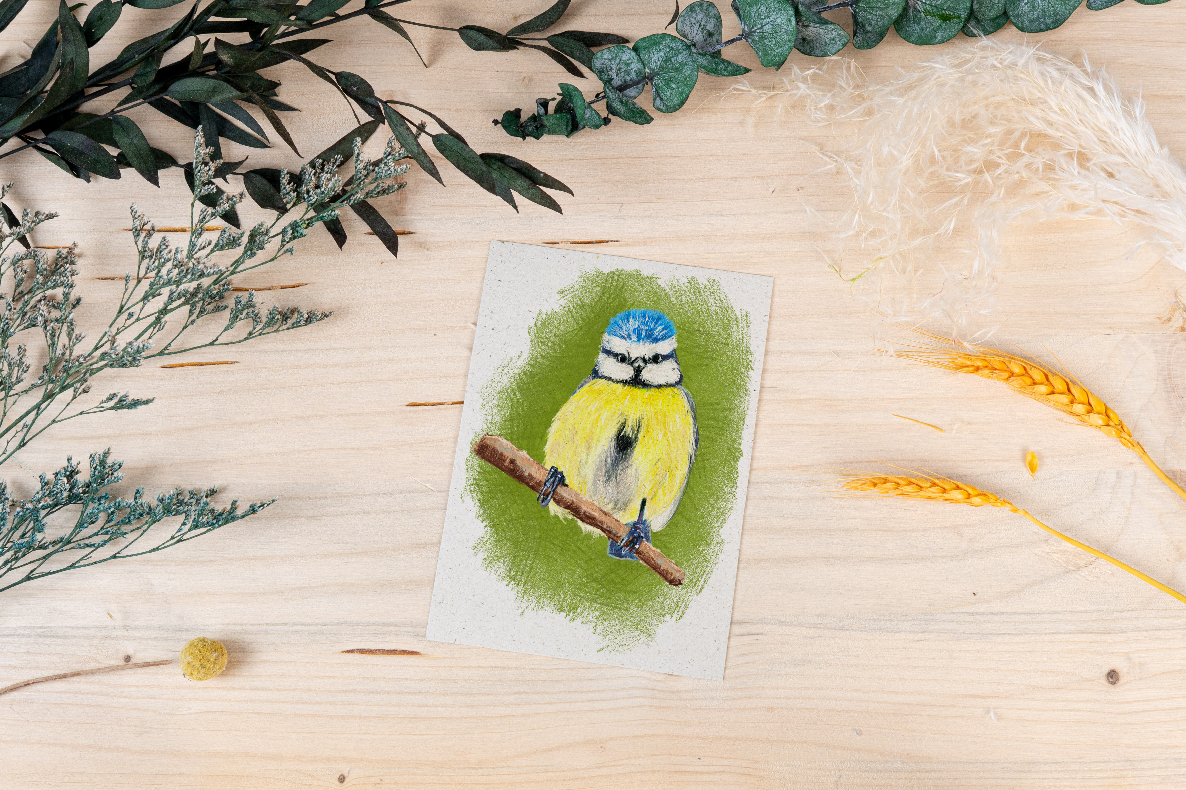 Grußkarte „Blaumeise – Frech, flott, farbenfroh“