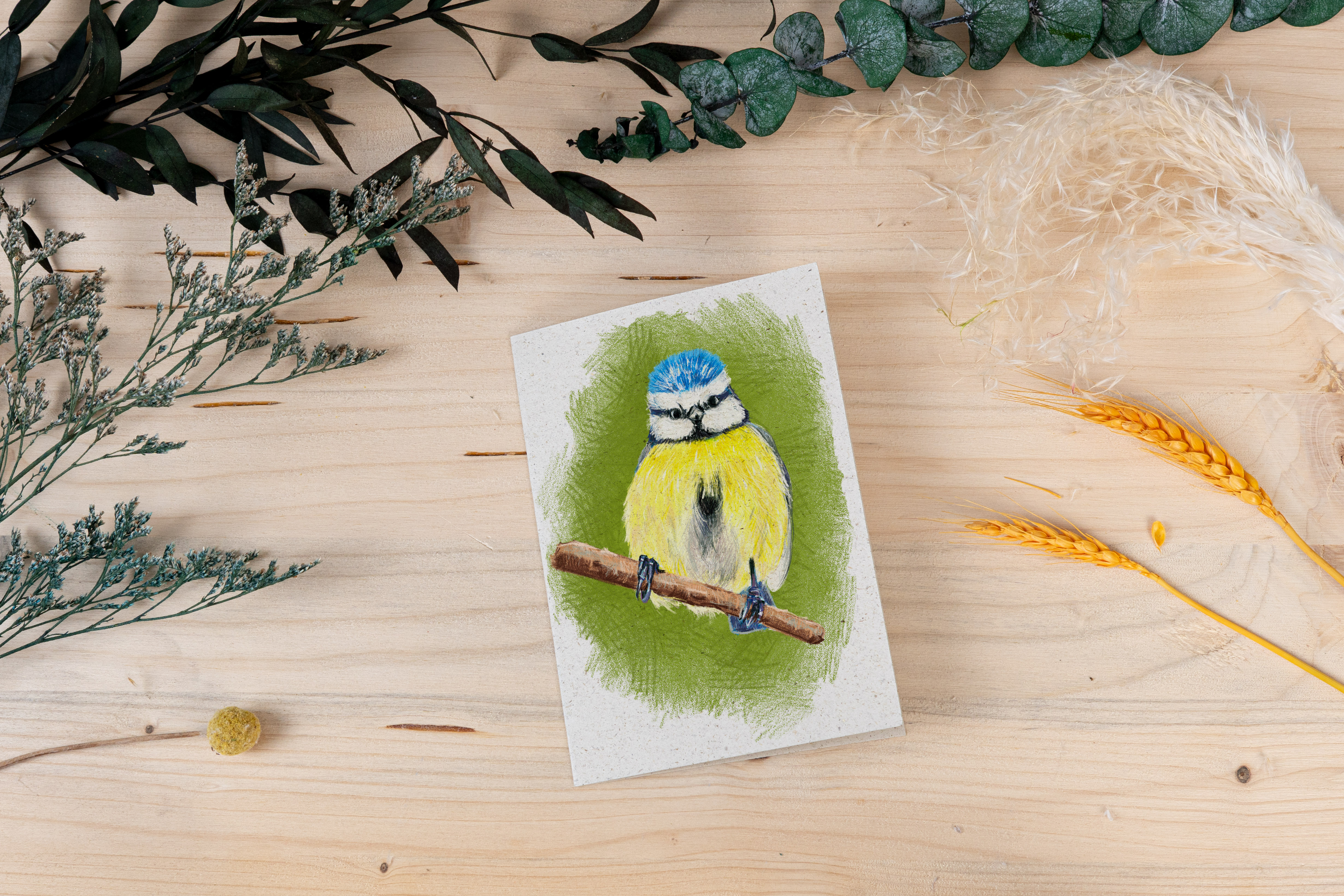 Grußkarte „Blaumeise – Frech, flott, farbenfroh“