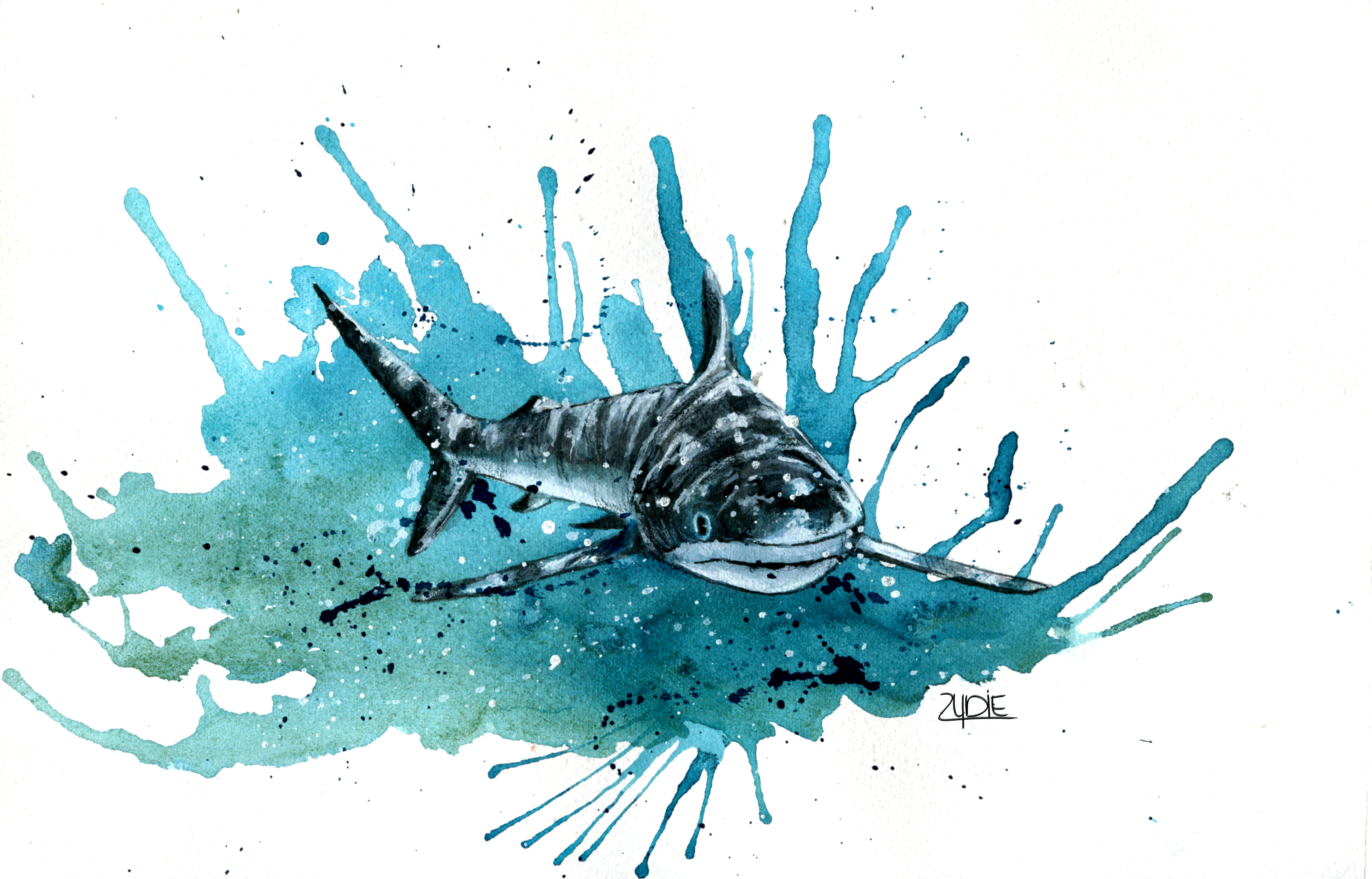 Fine Art Print – Riffhai