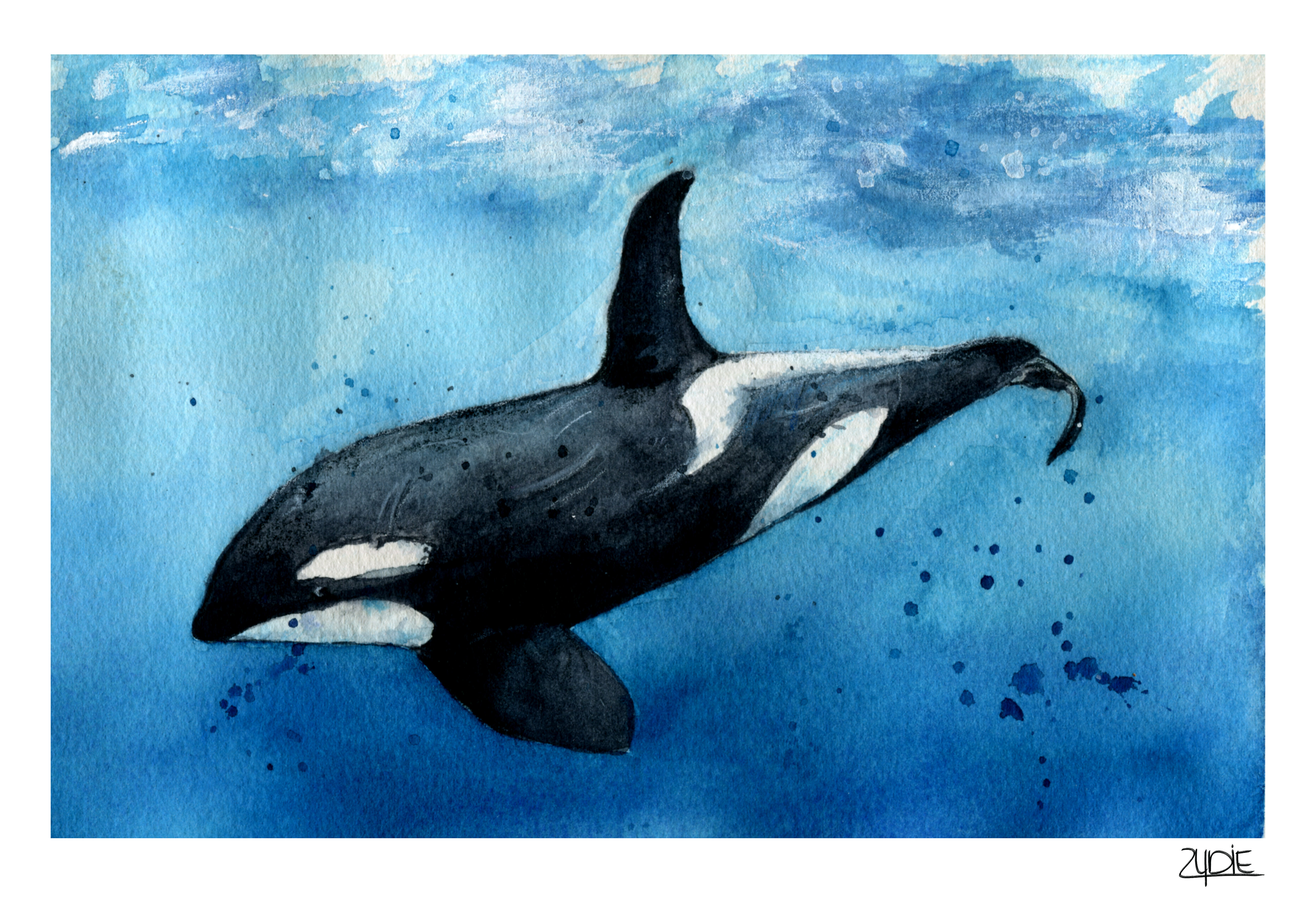 Fine Art Print – Orca „Unter der Oberfläche“