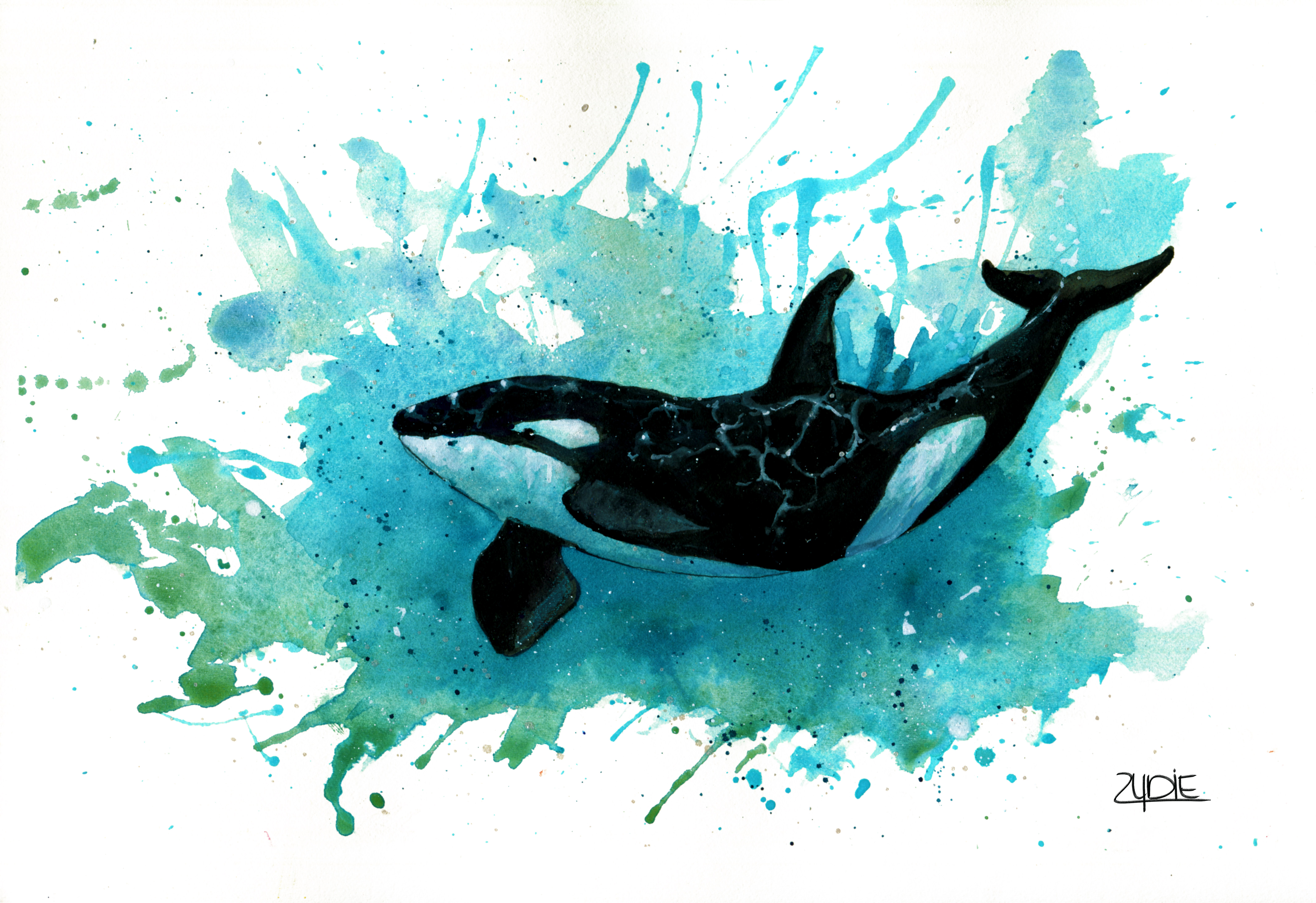 Fine Art Print – Orca „Lebensraum Ozean“