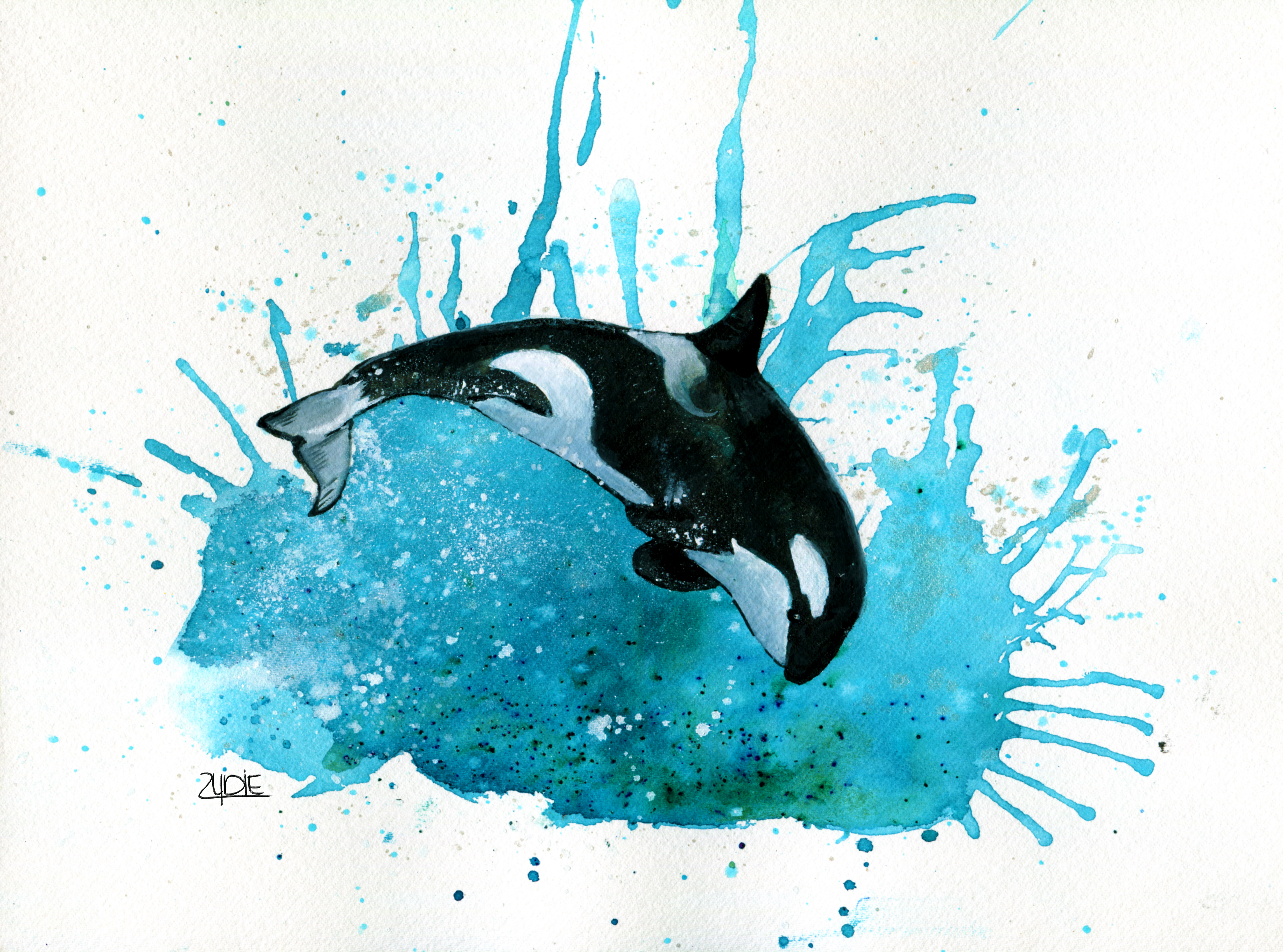 Fine Art Print – Orca „Tanz der Meere“
