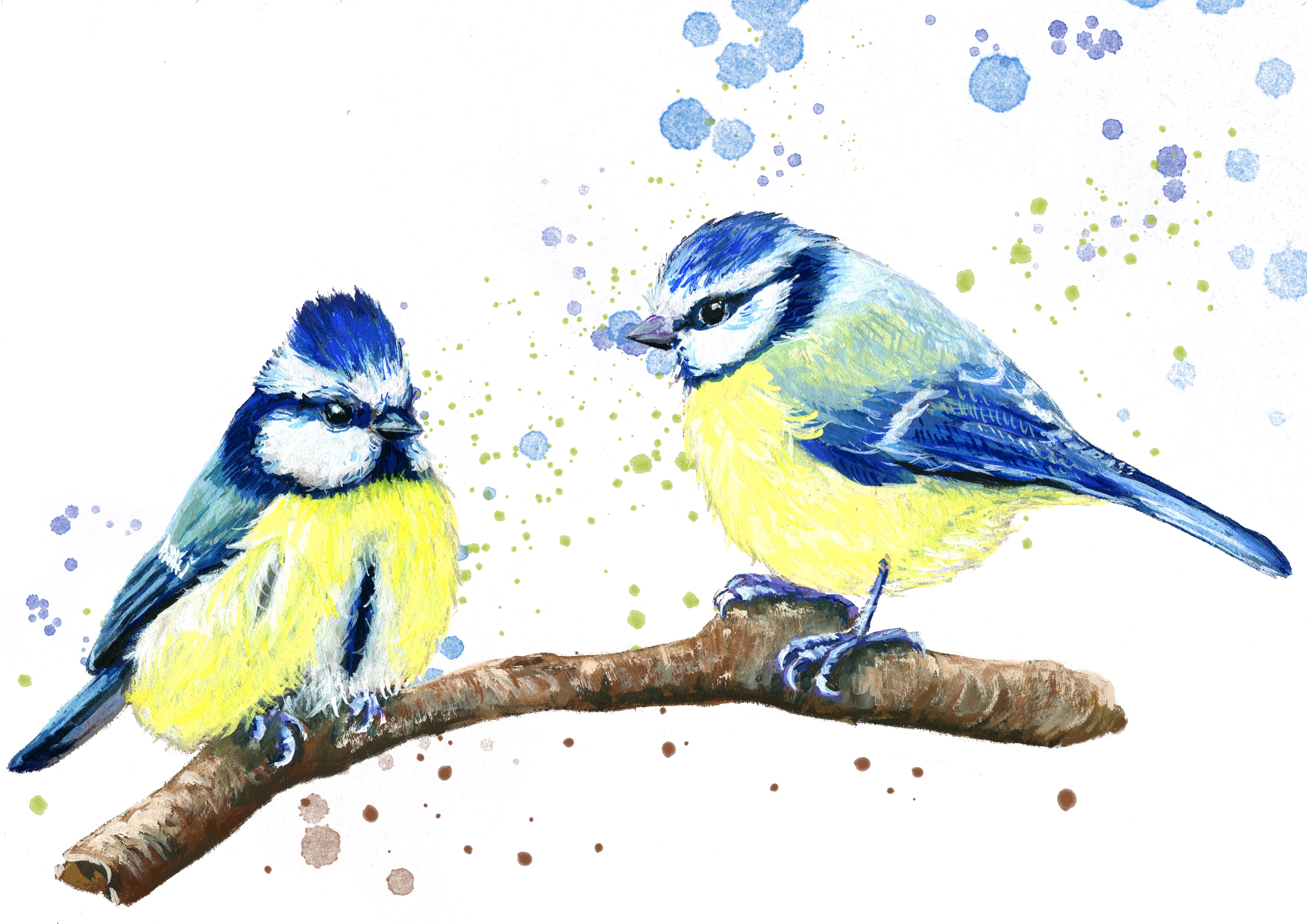 Fine Art Print – Blaumeisen „Zweisamkeit im Farbspiel“