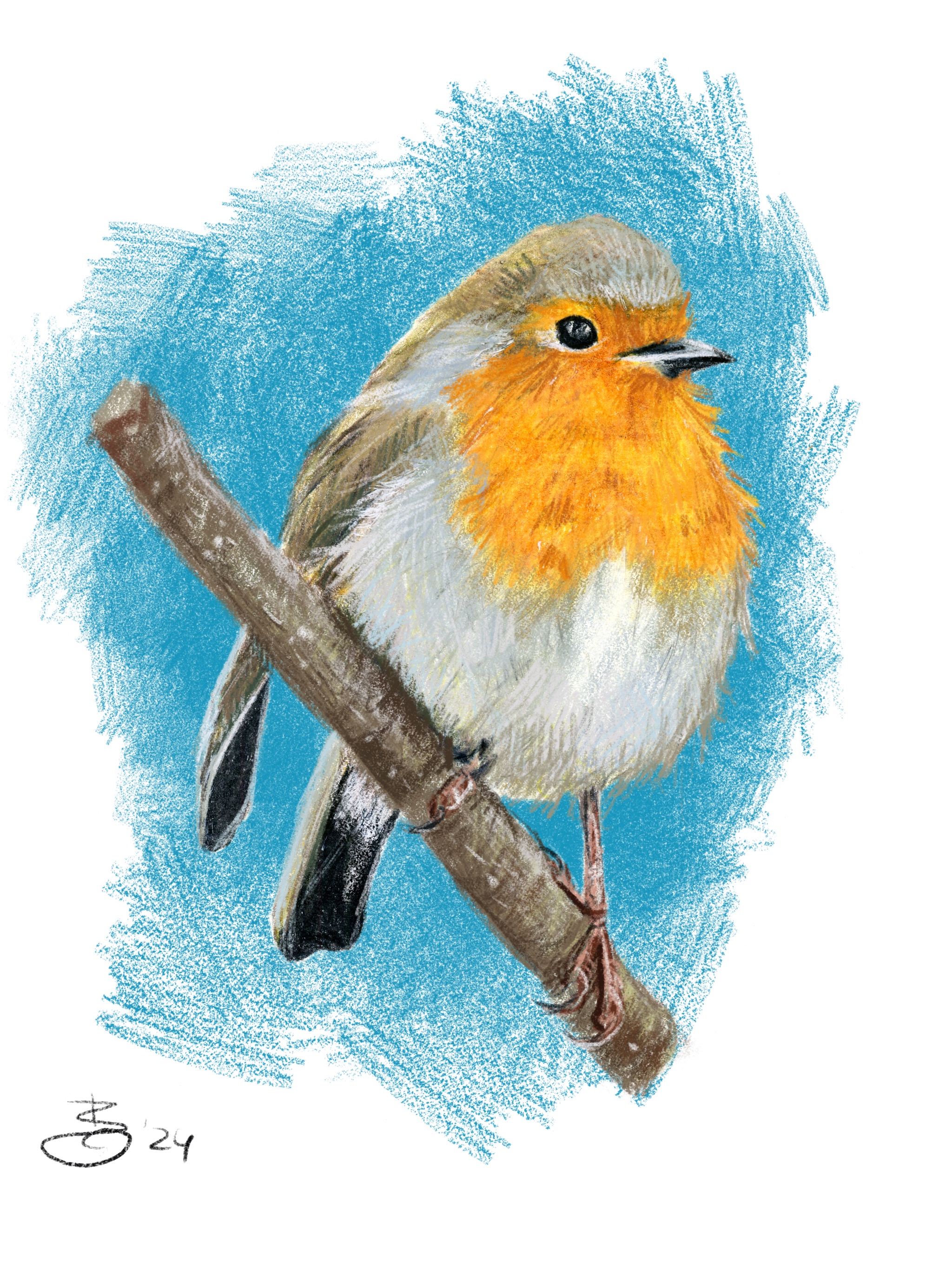 Fine Art Print – Buntstift - Rotkehlchen auf Zweig