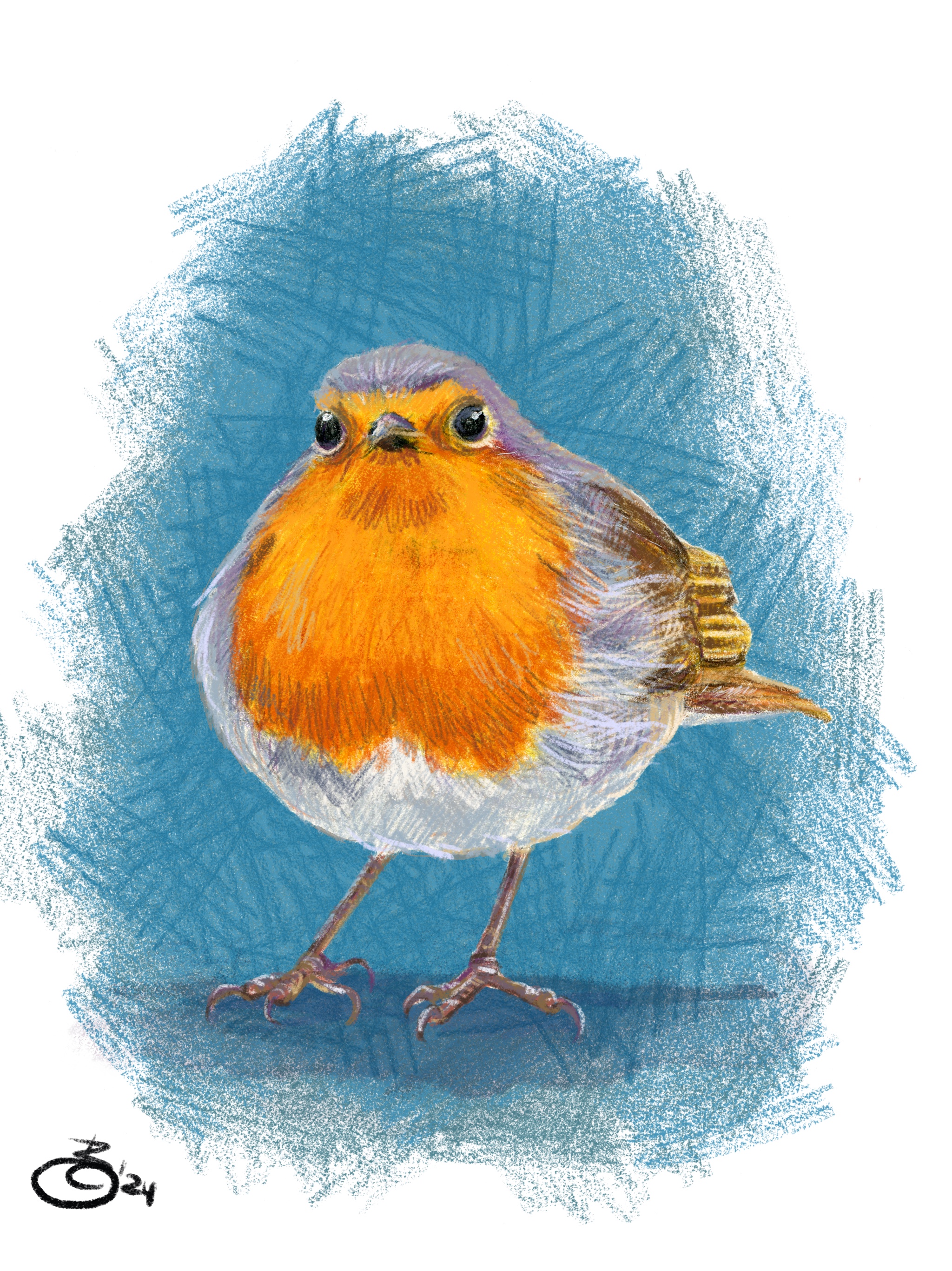 Fine Art Print – Buntstift - Rotkehlchen