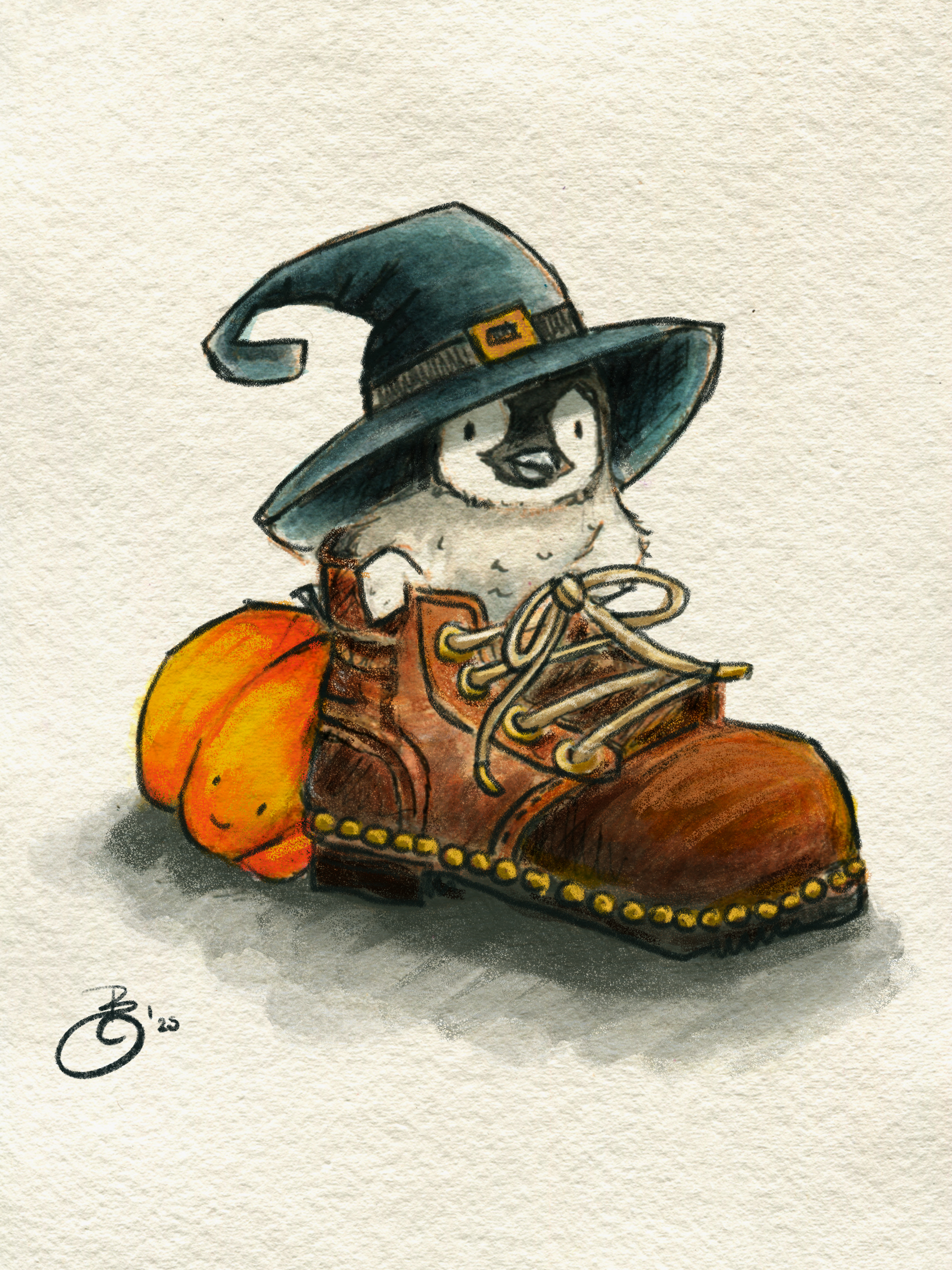 Fine Art Print „Pinguin im Schuh“