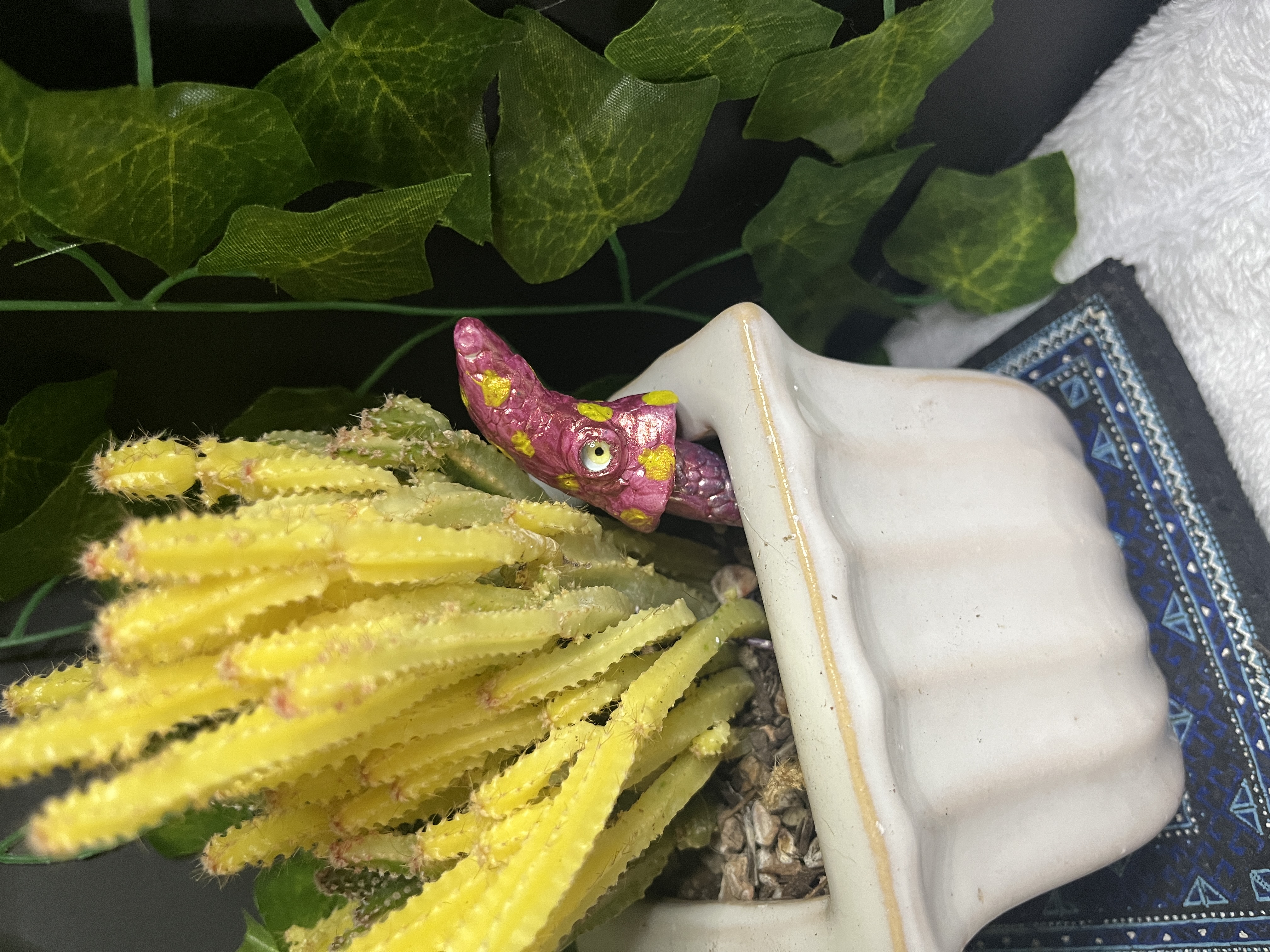 Psychedelic Mushroom Plant Friend