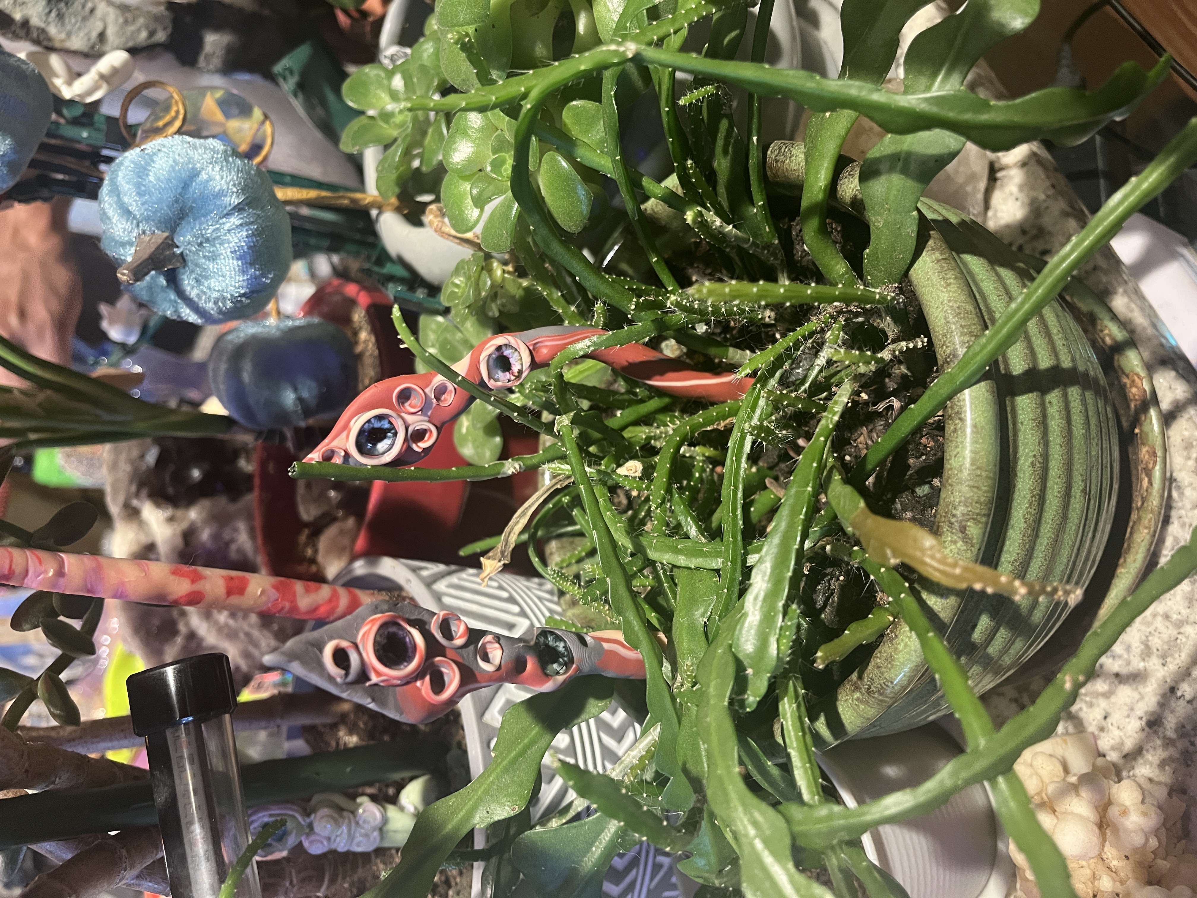 Plant Tentacle Decoration Red and Grey