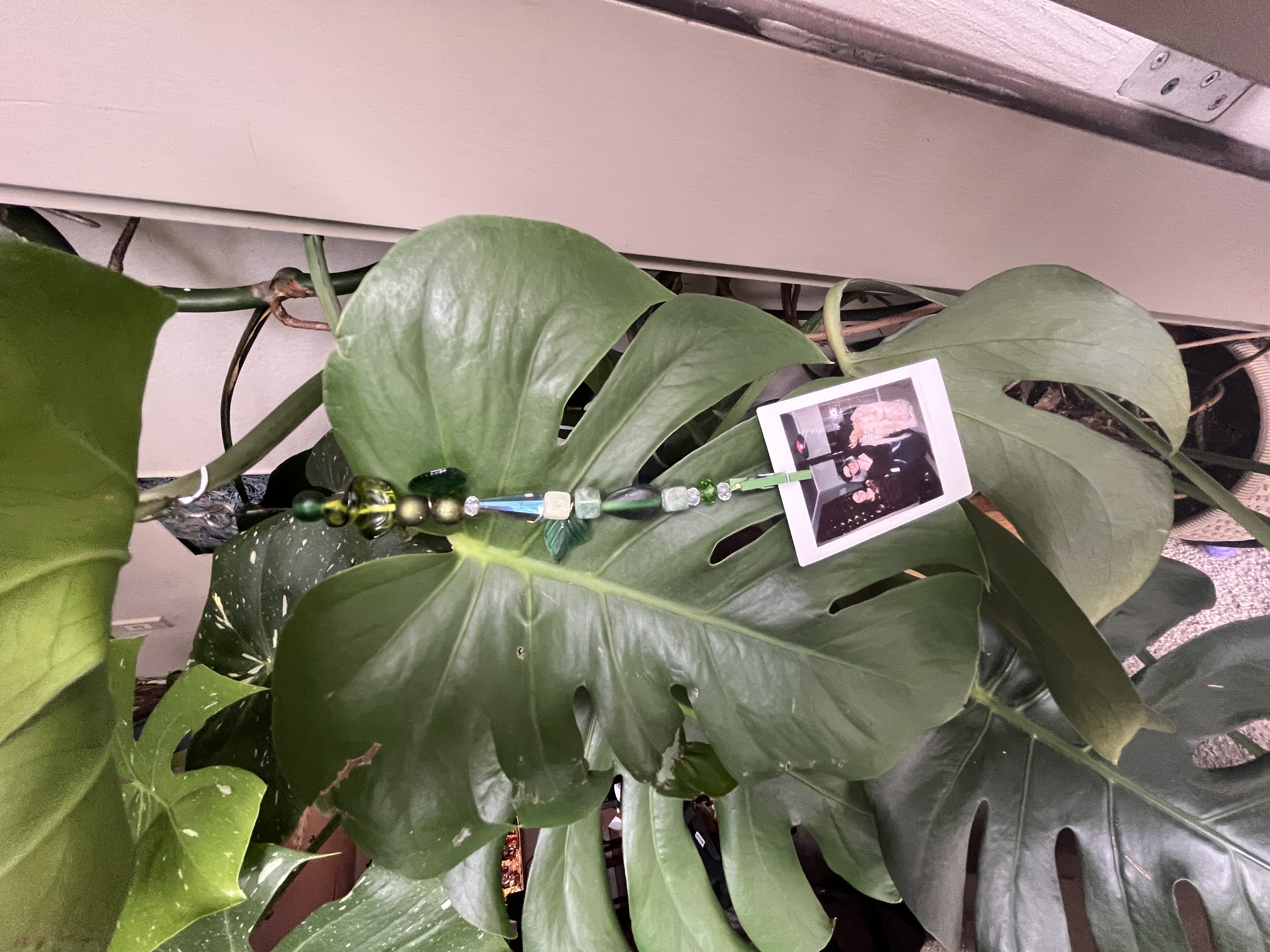 Beaded Photo Holder for Plants or Wall Hanging