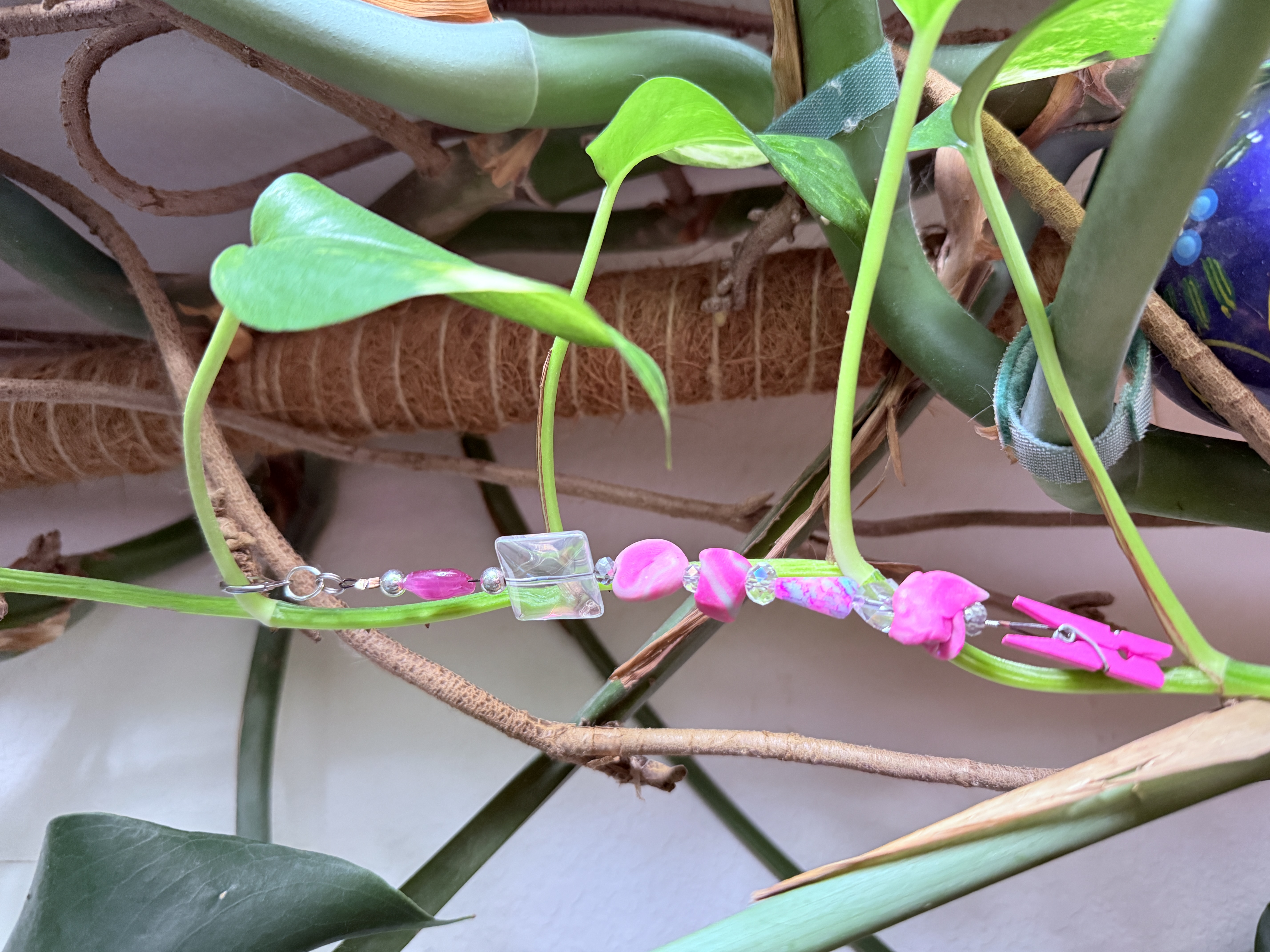 Plant Lovers Gift Set