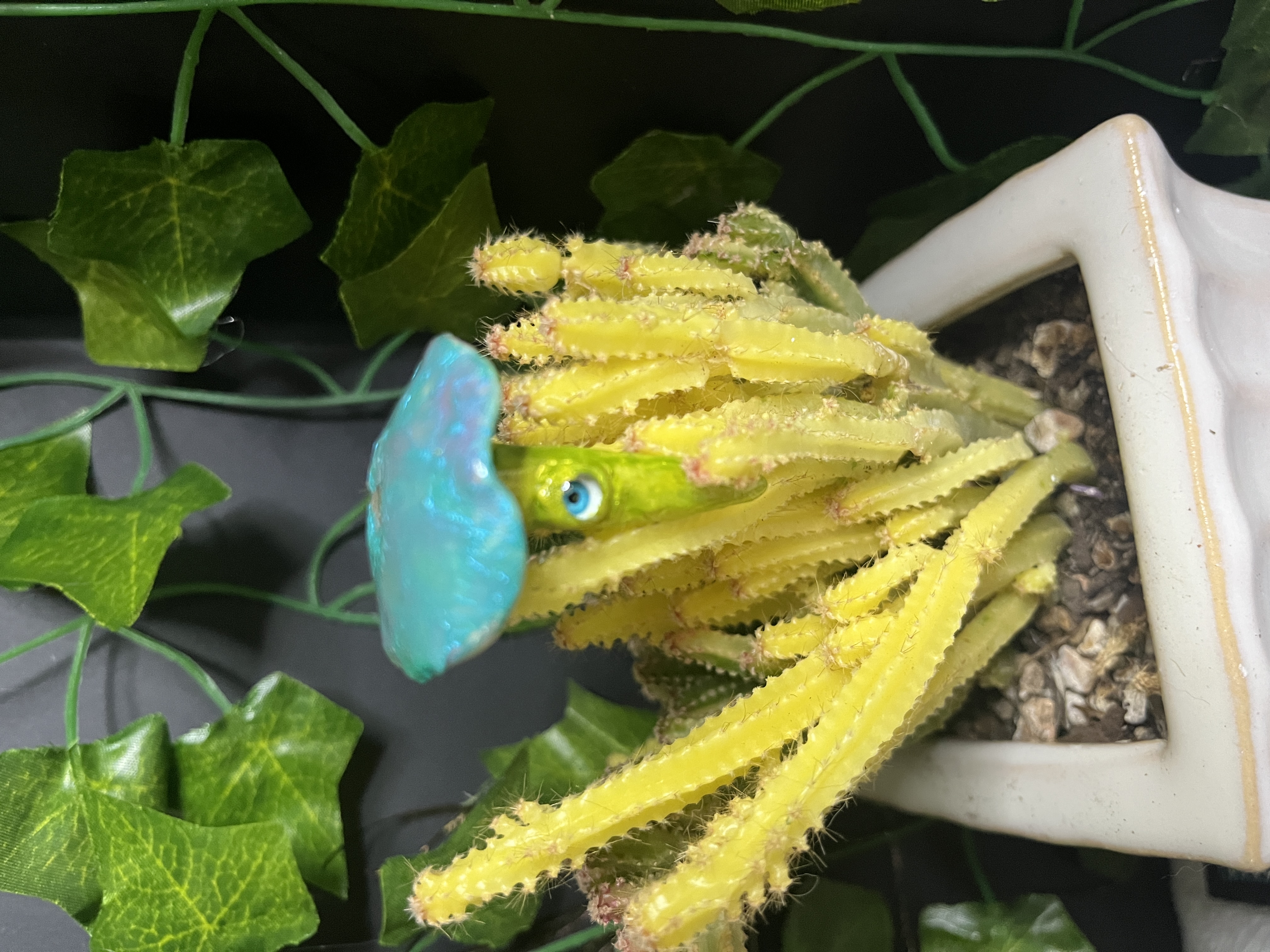  Blue and Green Mushroom Plant Friend