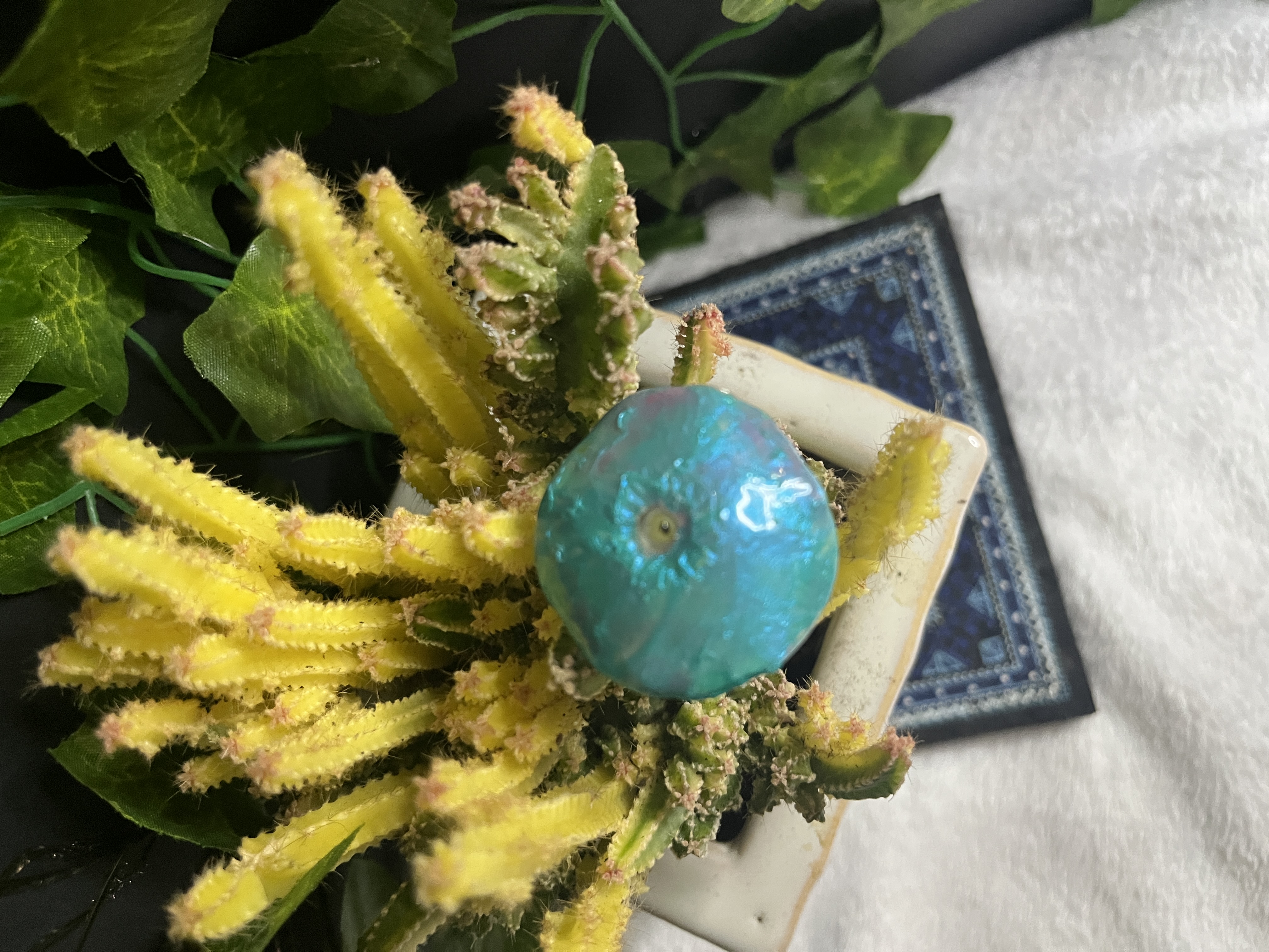  Blue and Green Mushroom Plant Friend