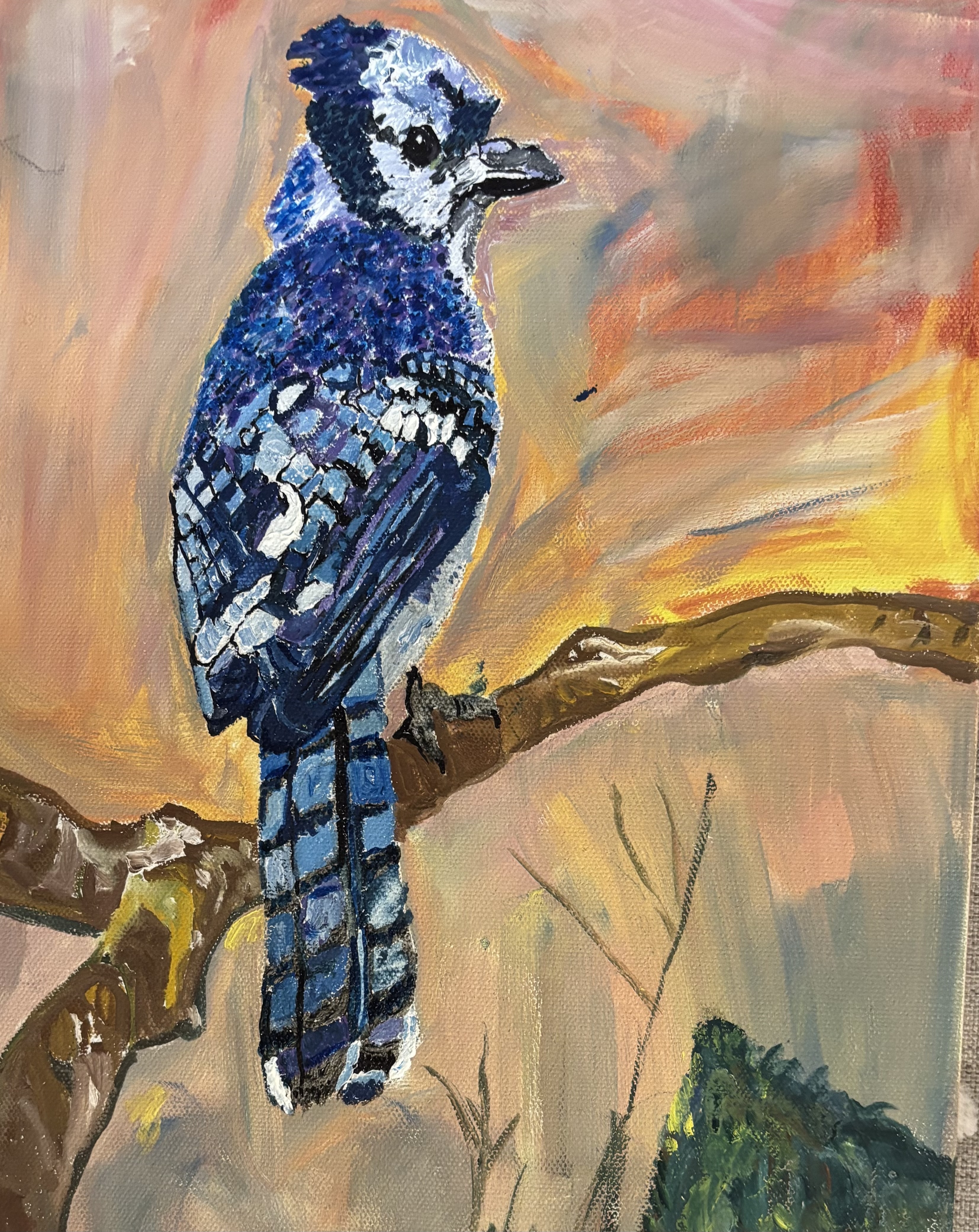 Blue Jay Painting (11x15 canvas)