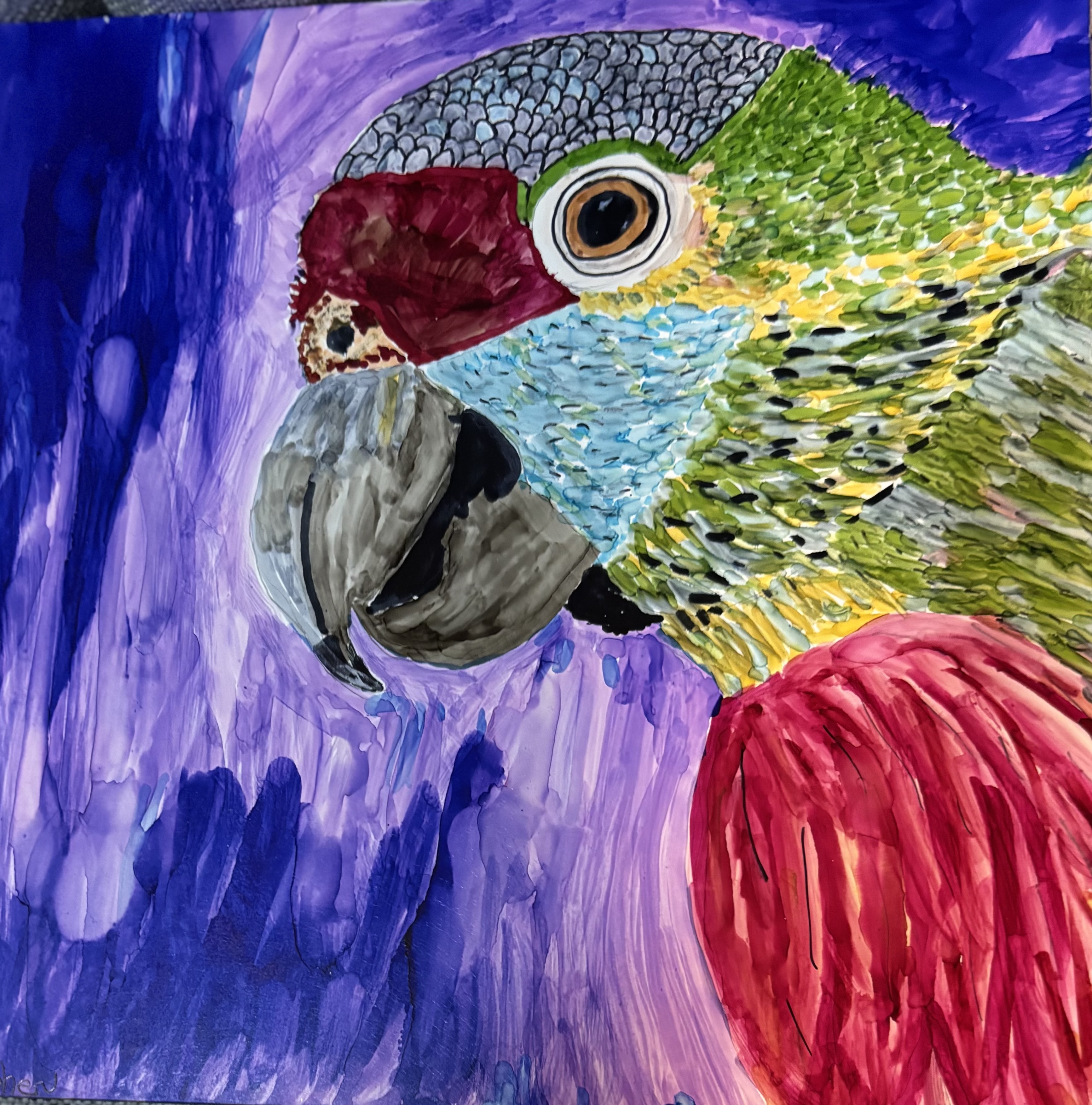 Colorful Parrot Painting (8x8 on board)
