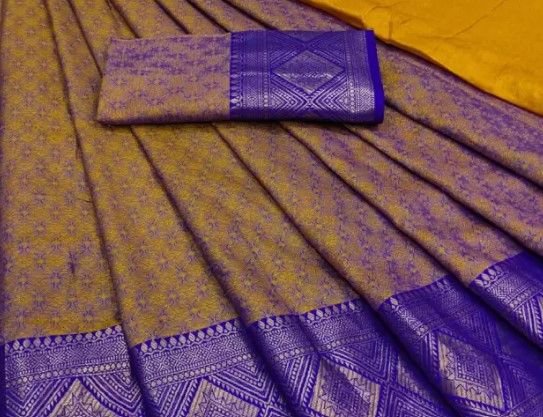 Banarasi Silk Saree