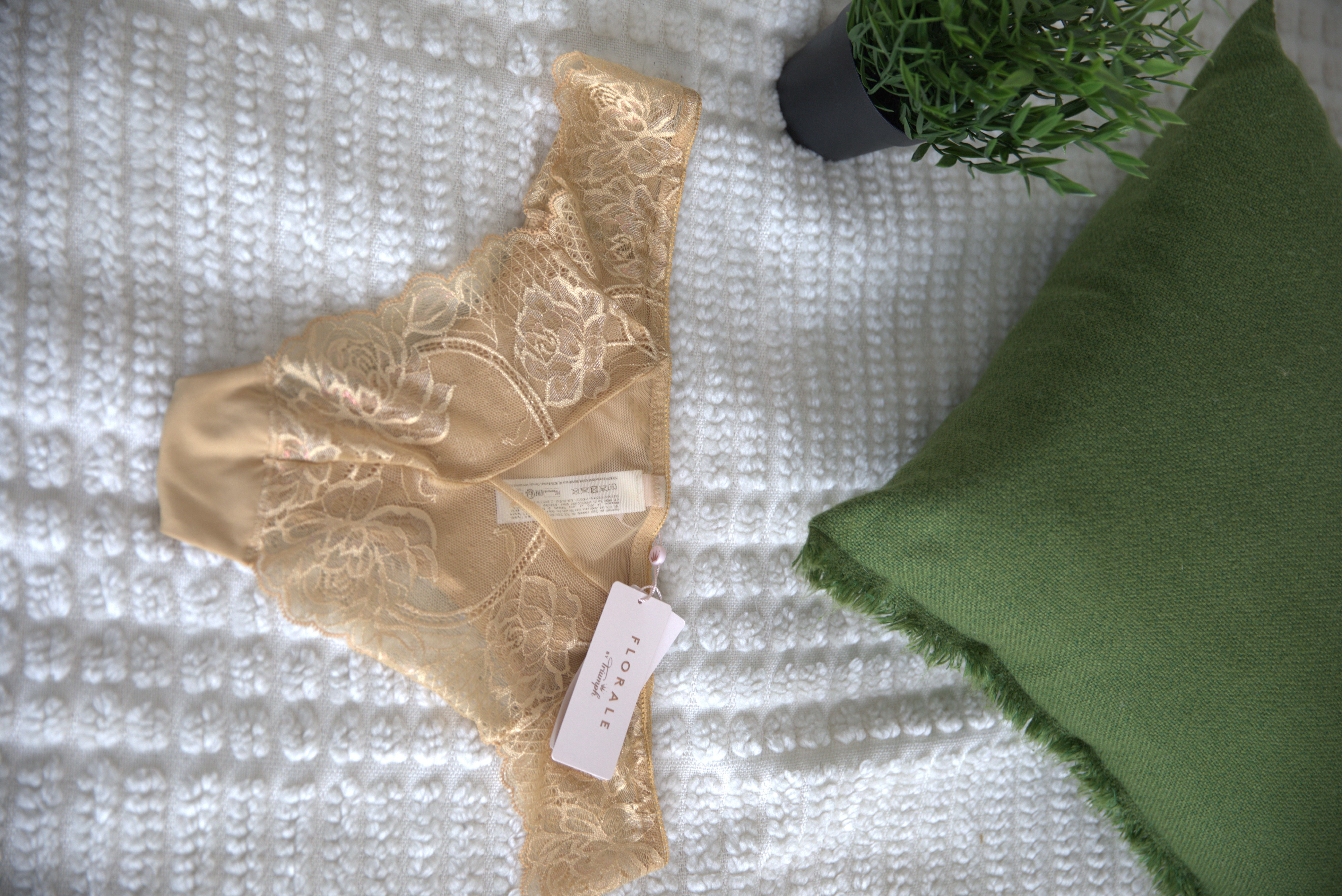 Moteriškos nėrinių kelnaitės Triumph Wild Peony Florale Brazilian