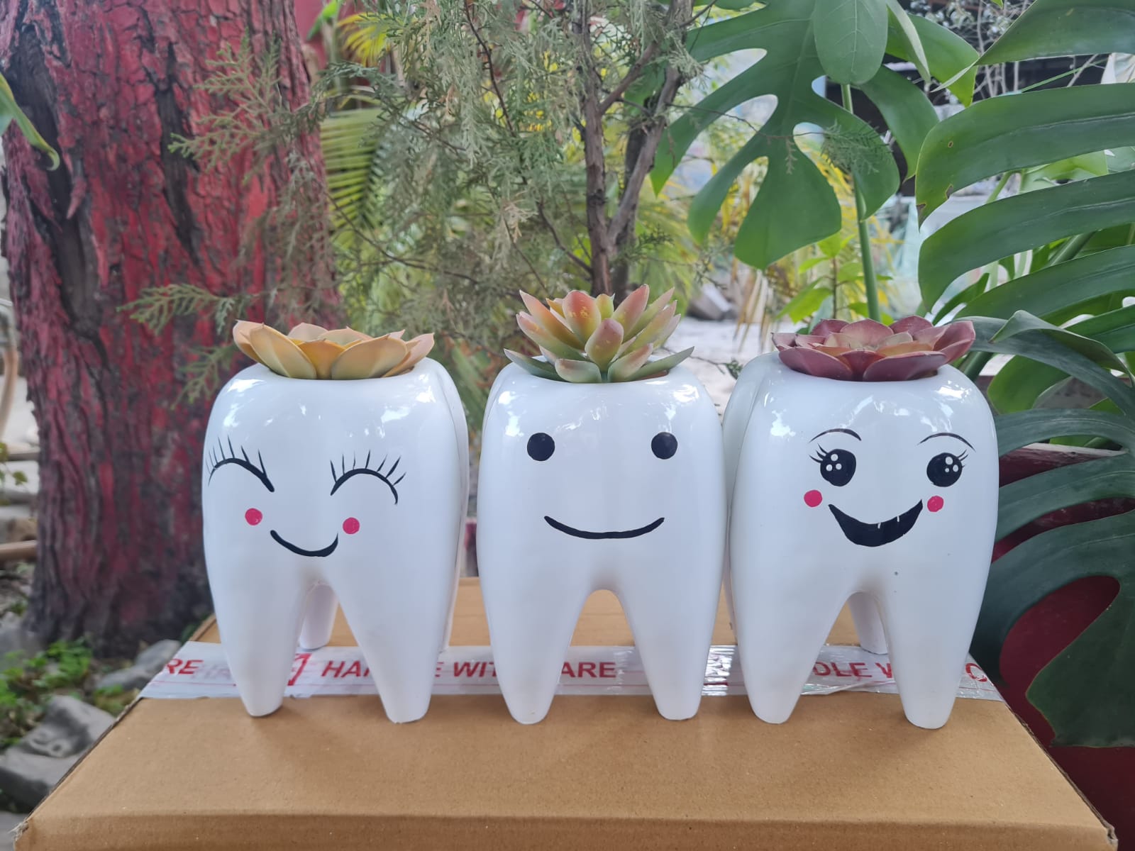 Teeth Pots With Smile Set of 3 Pcs