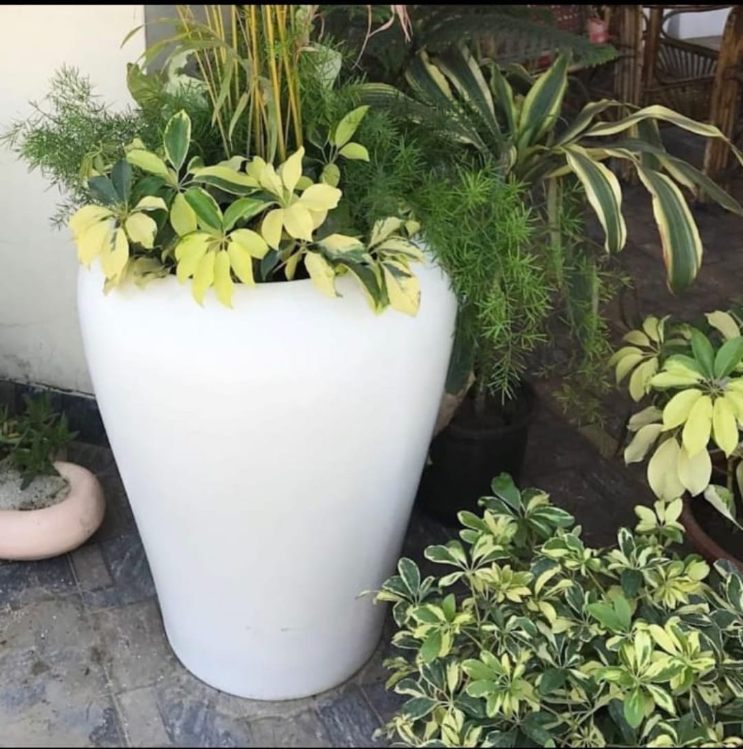 Apple Fiber Pots Size:-12x12 Inches