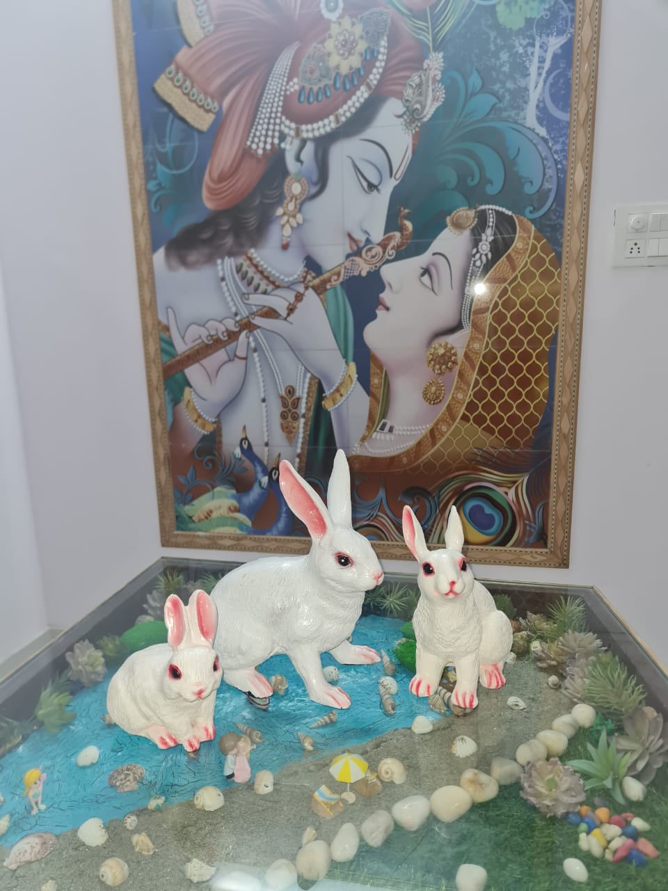 Rabbit Combo-3 Pcs Size:-6-12 Inches