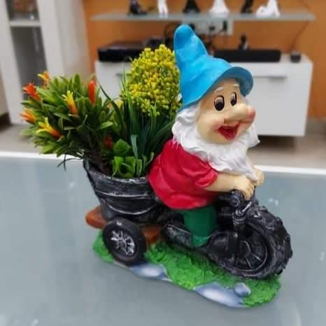Dwarft Planter Size:-12 Inches