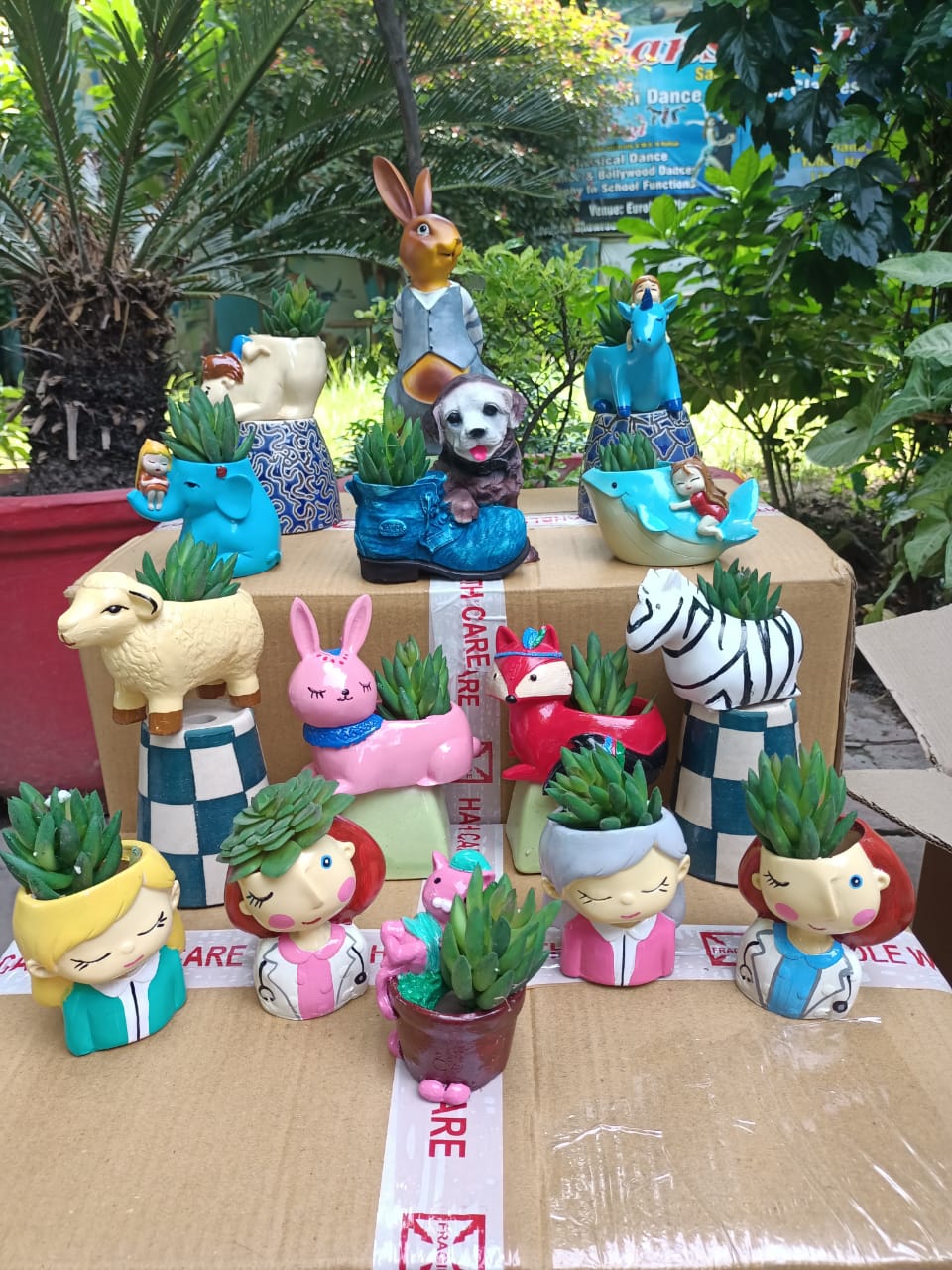 Mix 15 Pcs Combo Size:-3-7 inches