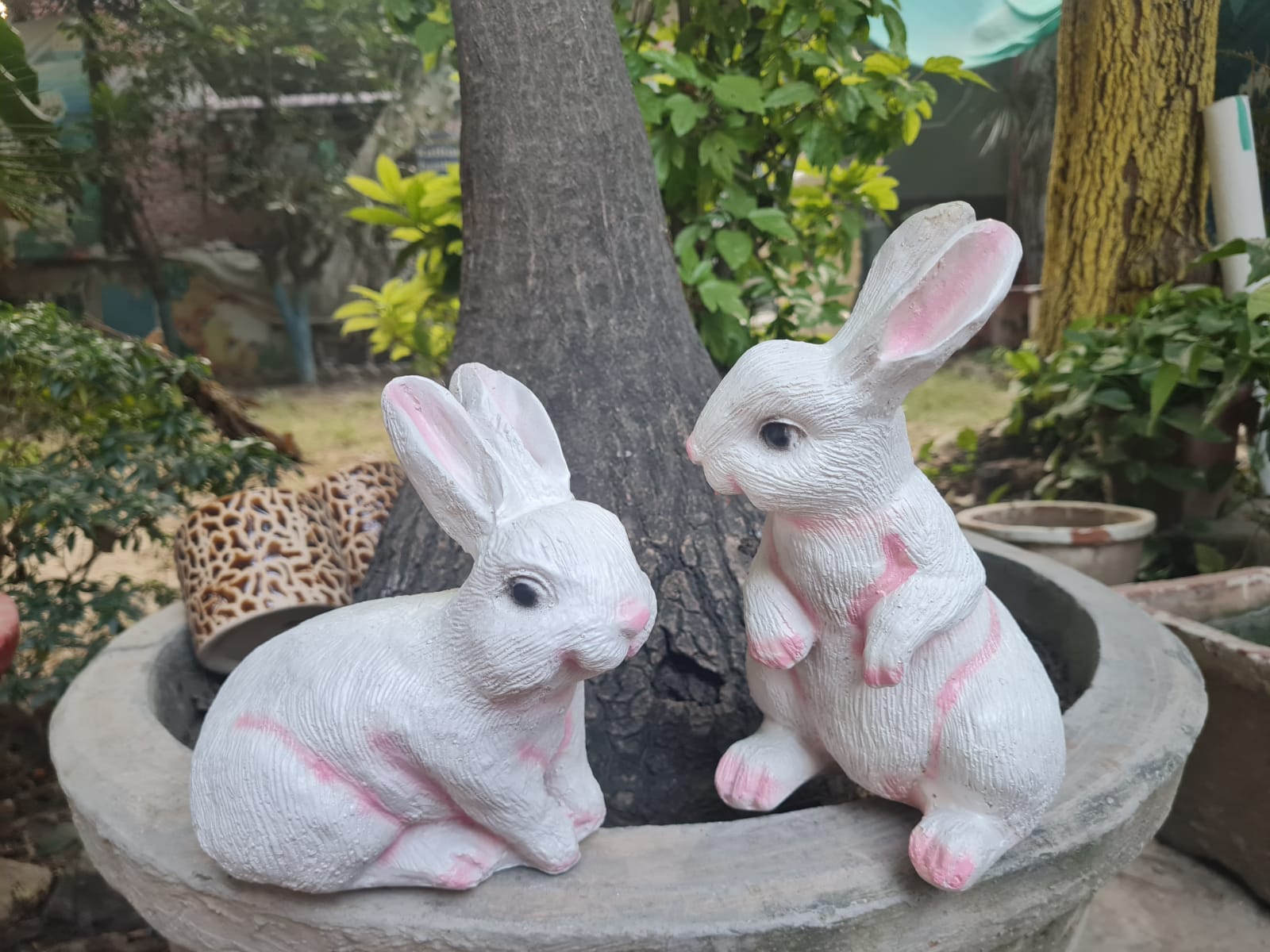Rabbit Pair Size:-9-10 Inches
