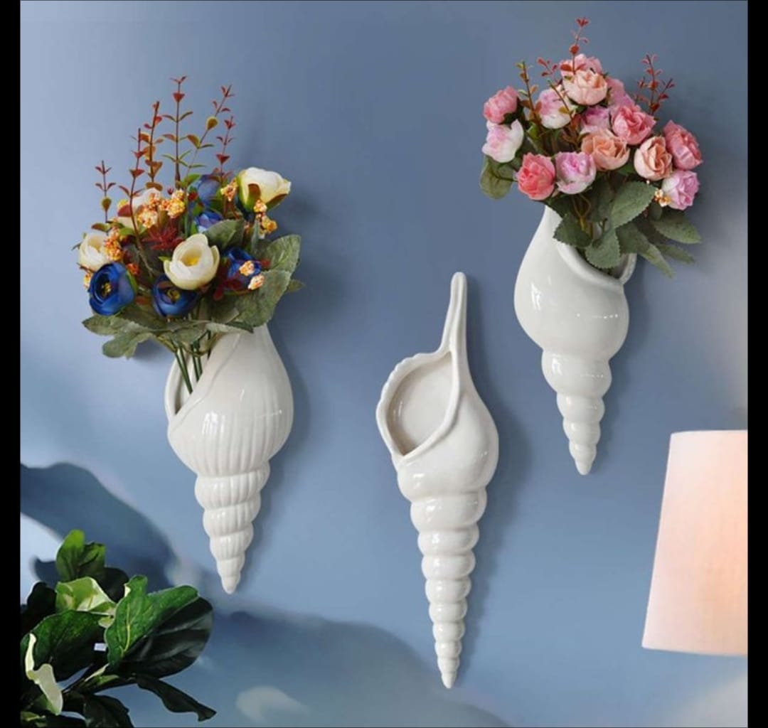 Wall sea shells Combo-Size:-11 inches- 6 Pcs Set